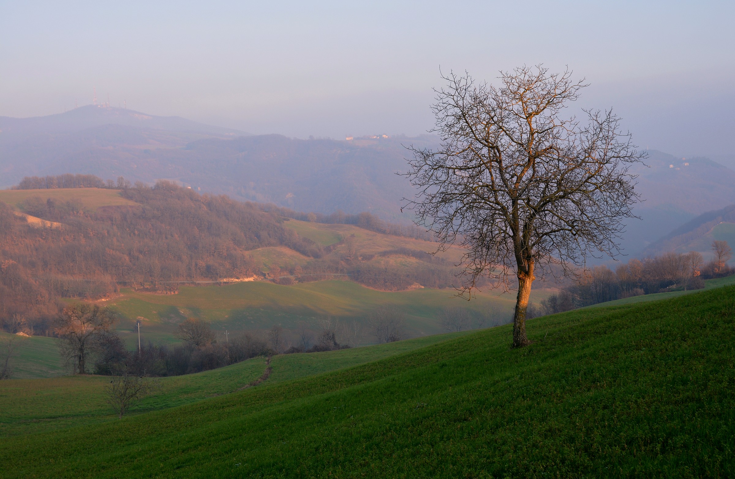 Colline di Pellegrino Parmense