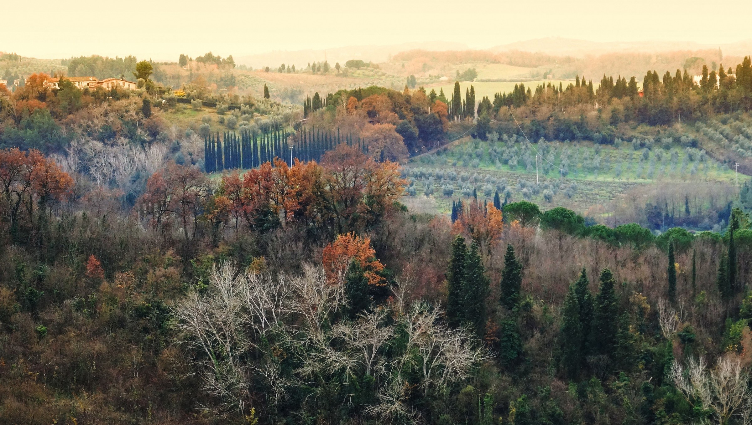 From the window of Rita in the afternoon of Christmas 2014