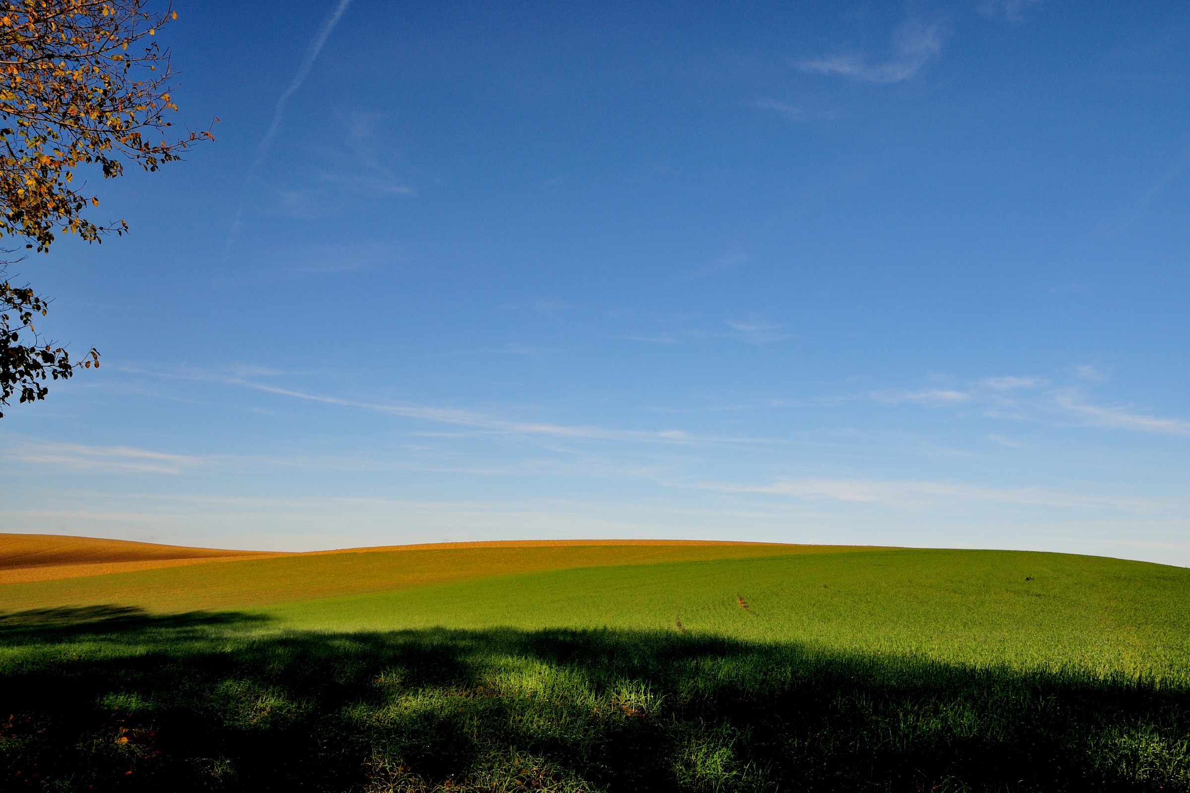 Colori della campagna