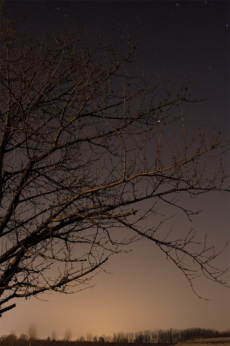 A NIGHT OF Boncellino BAGNACAVALLO