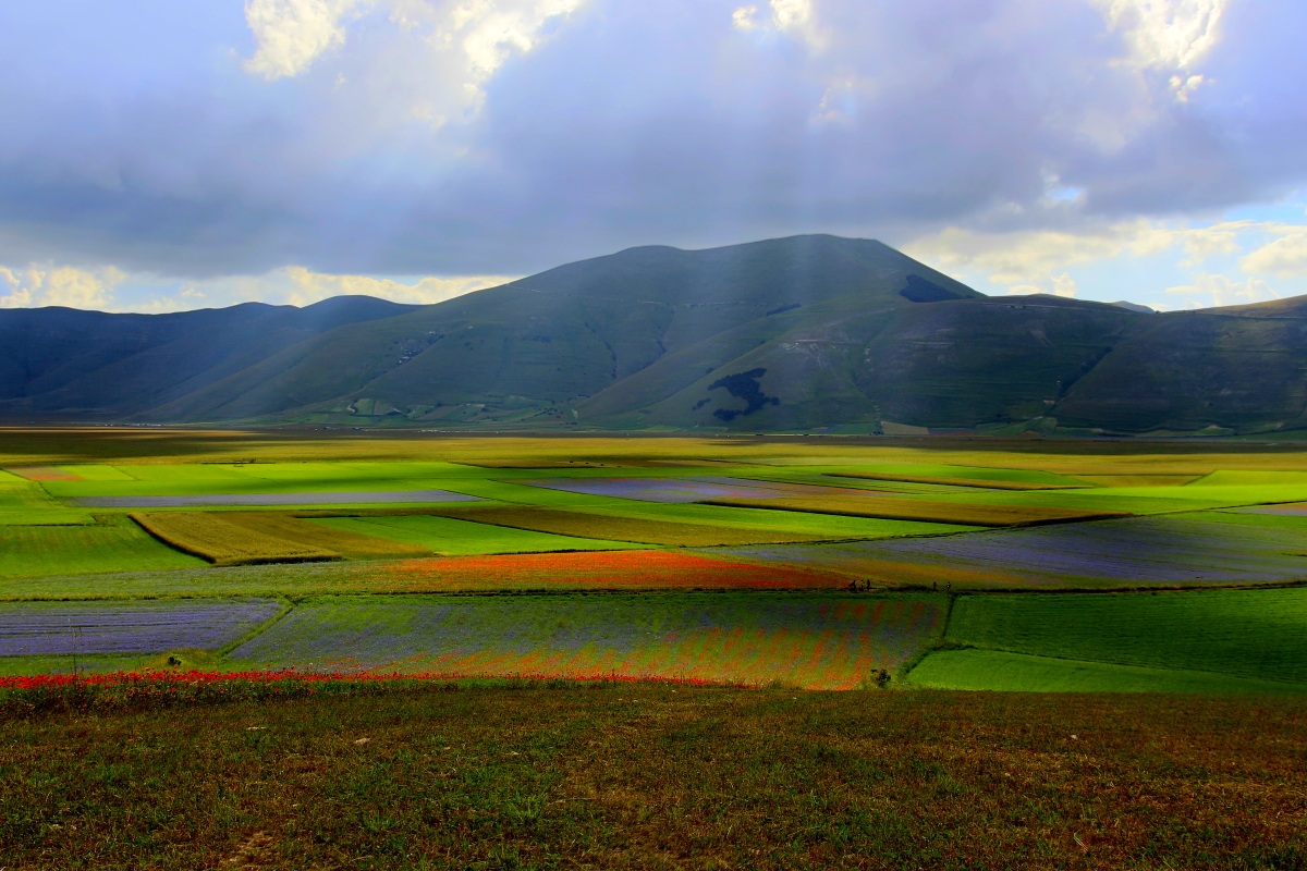 Castelluccio di Norcia