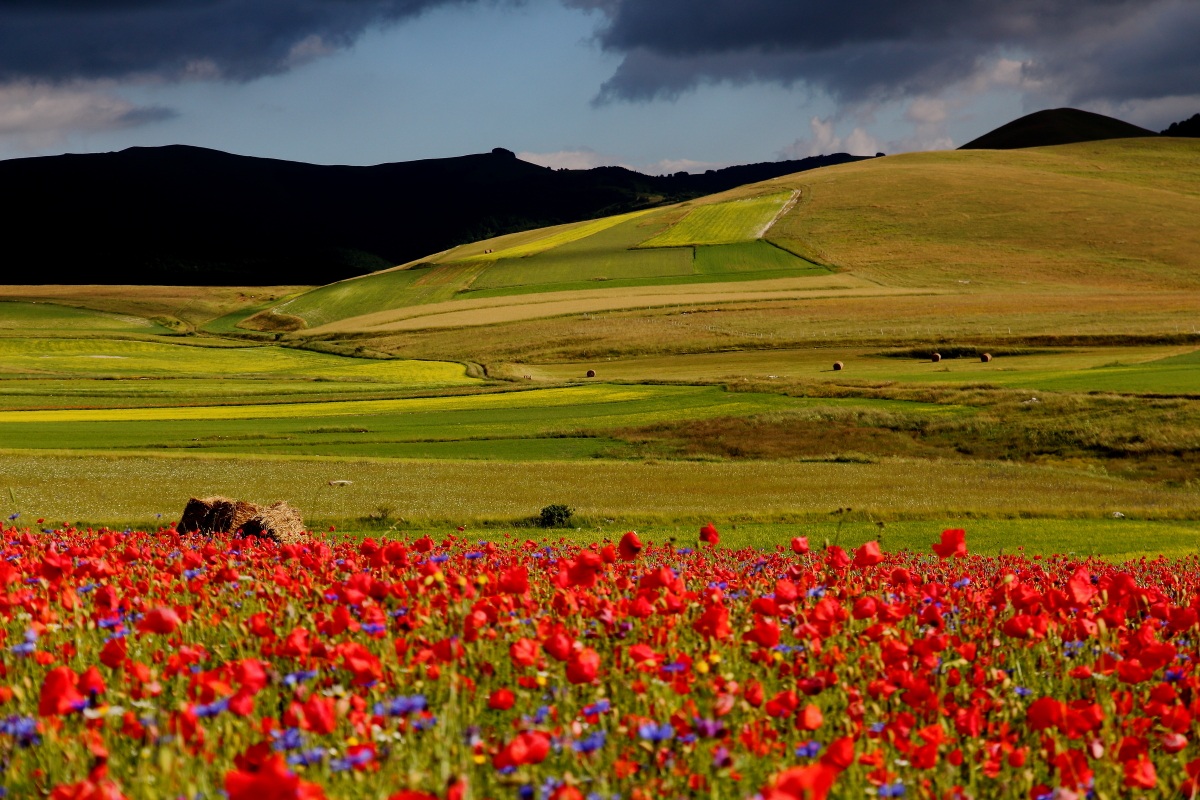 Castelluccio di Norcia