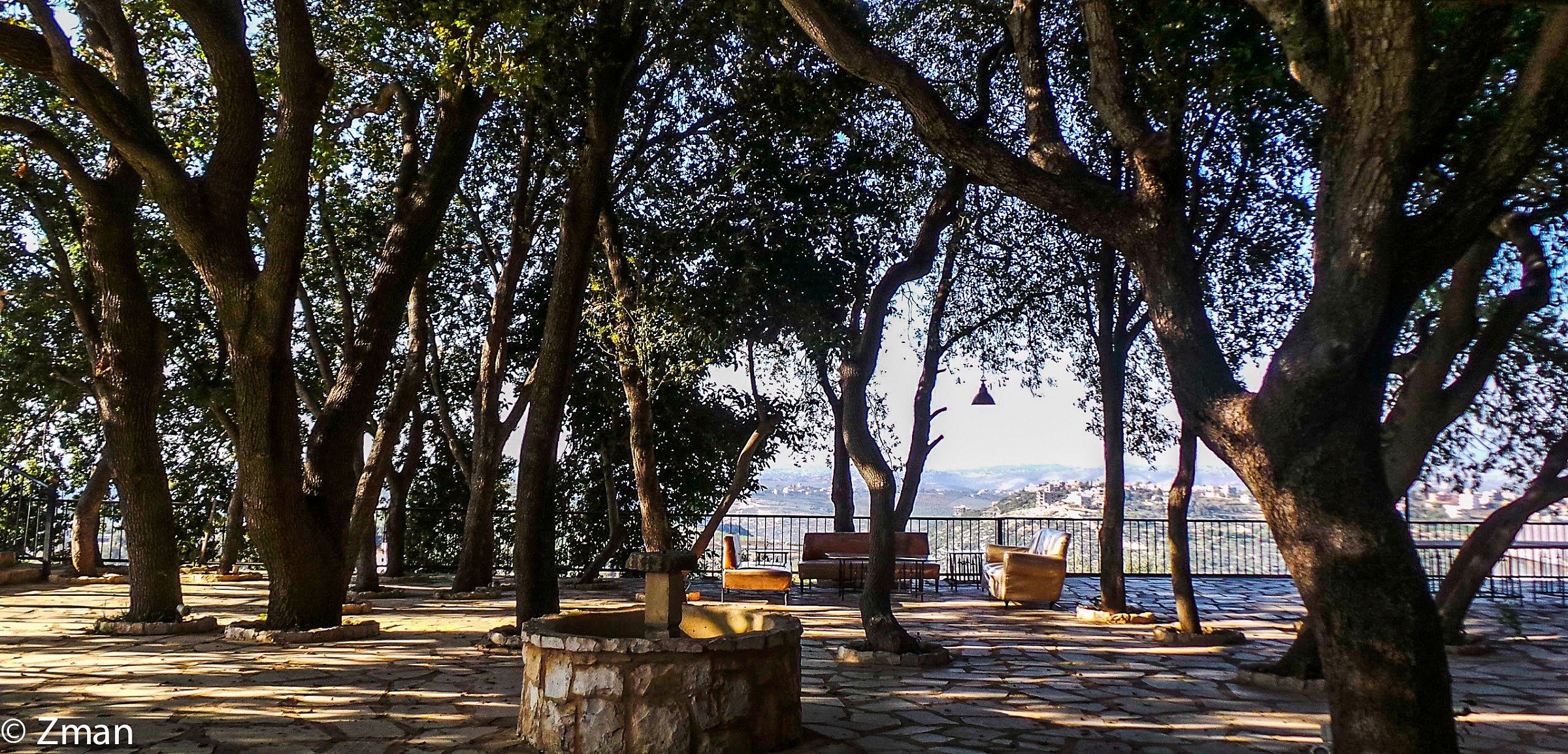 Le querce che erano il suo soffitto