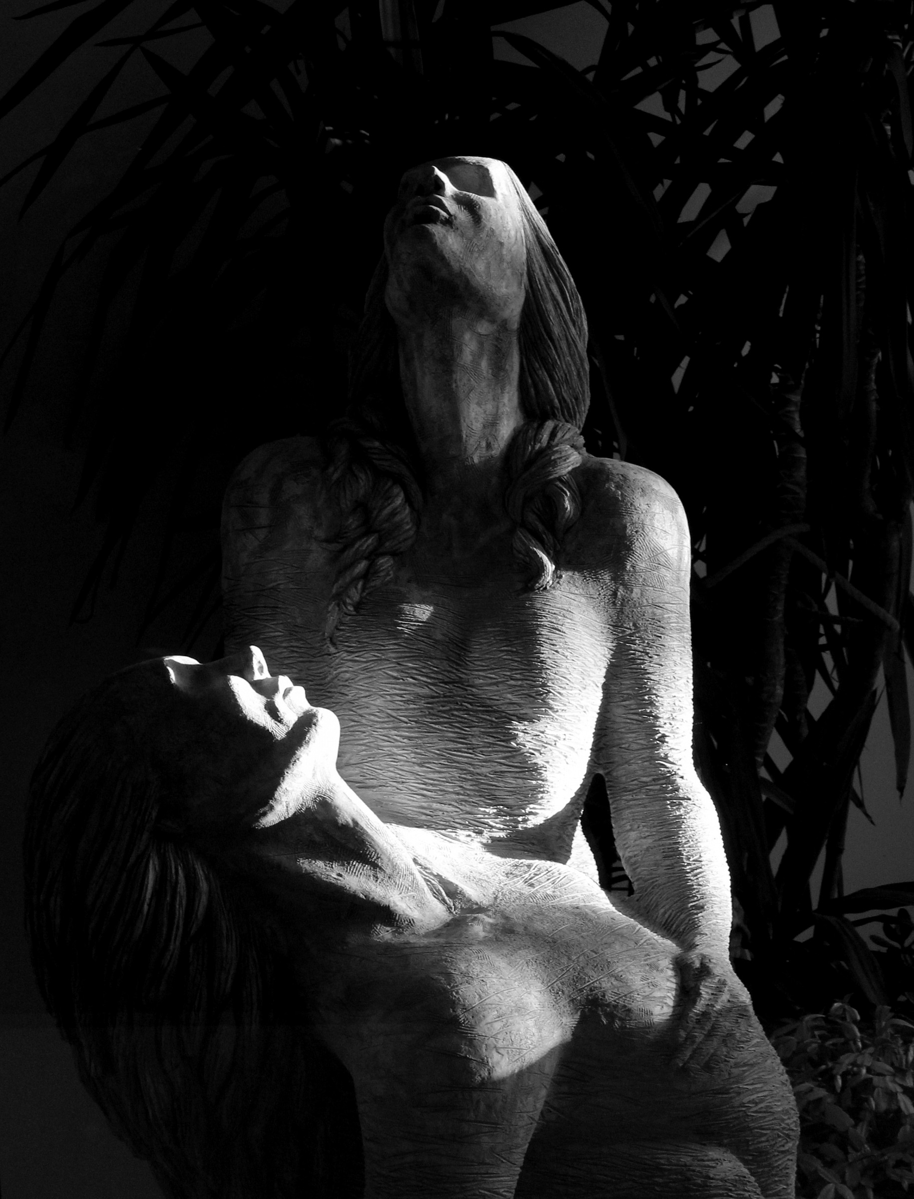 Work of Bruno Lucchi