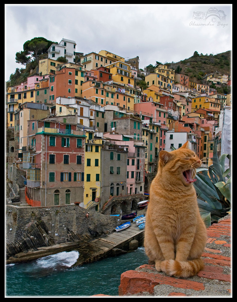 Riomaggiore
