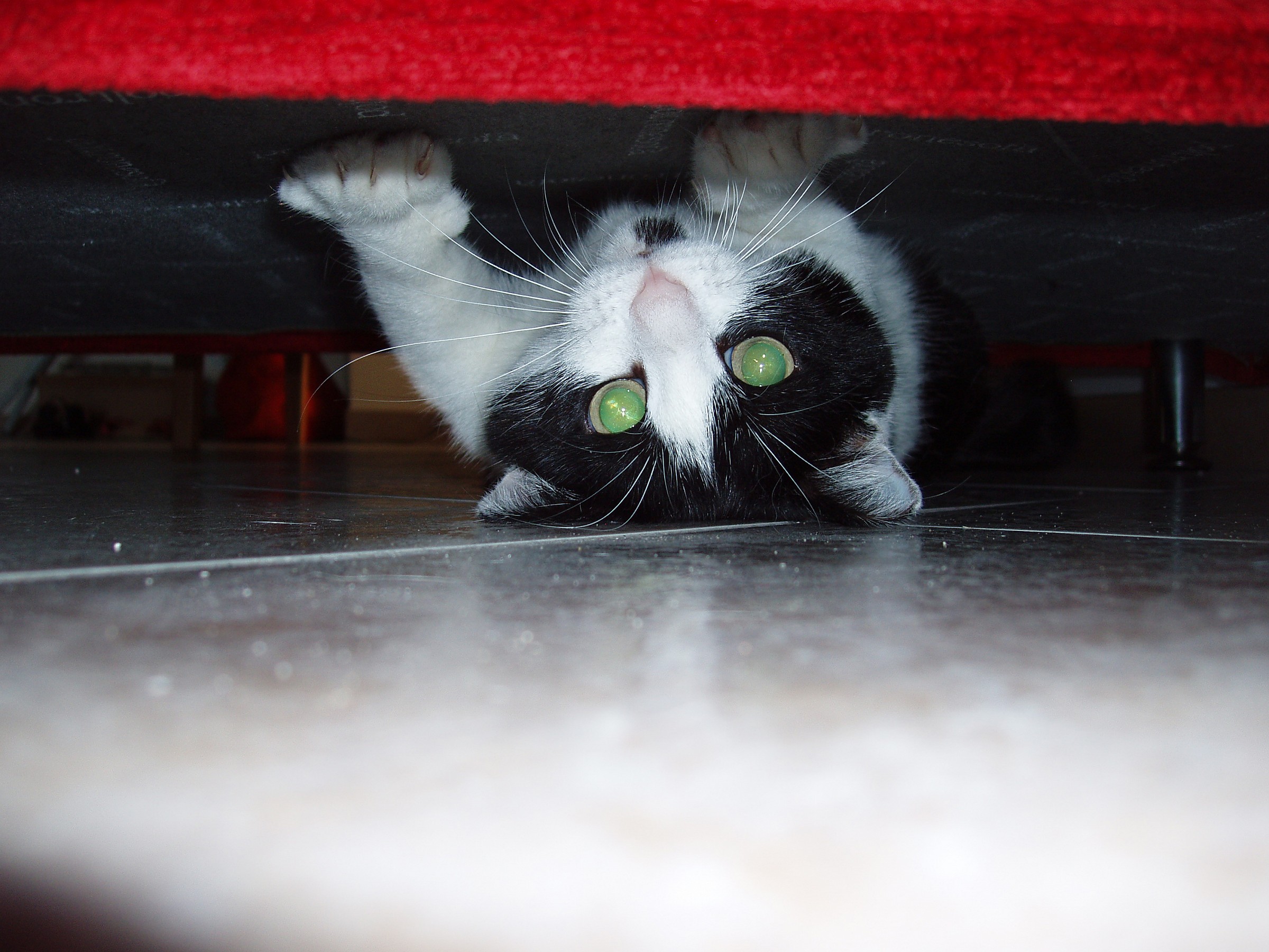 Under the couch