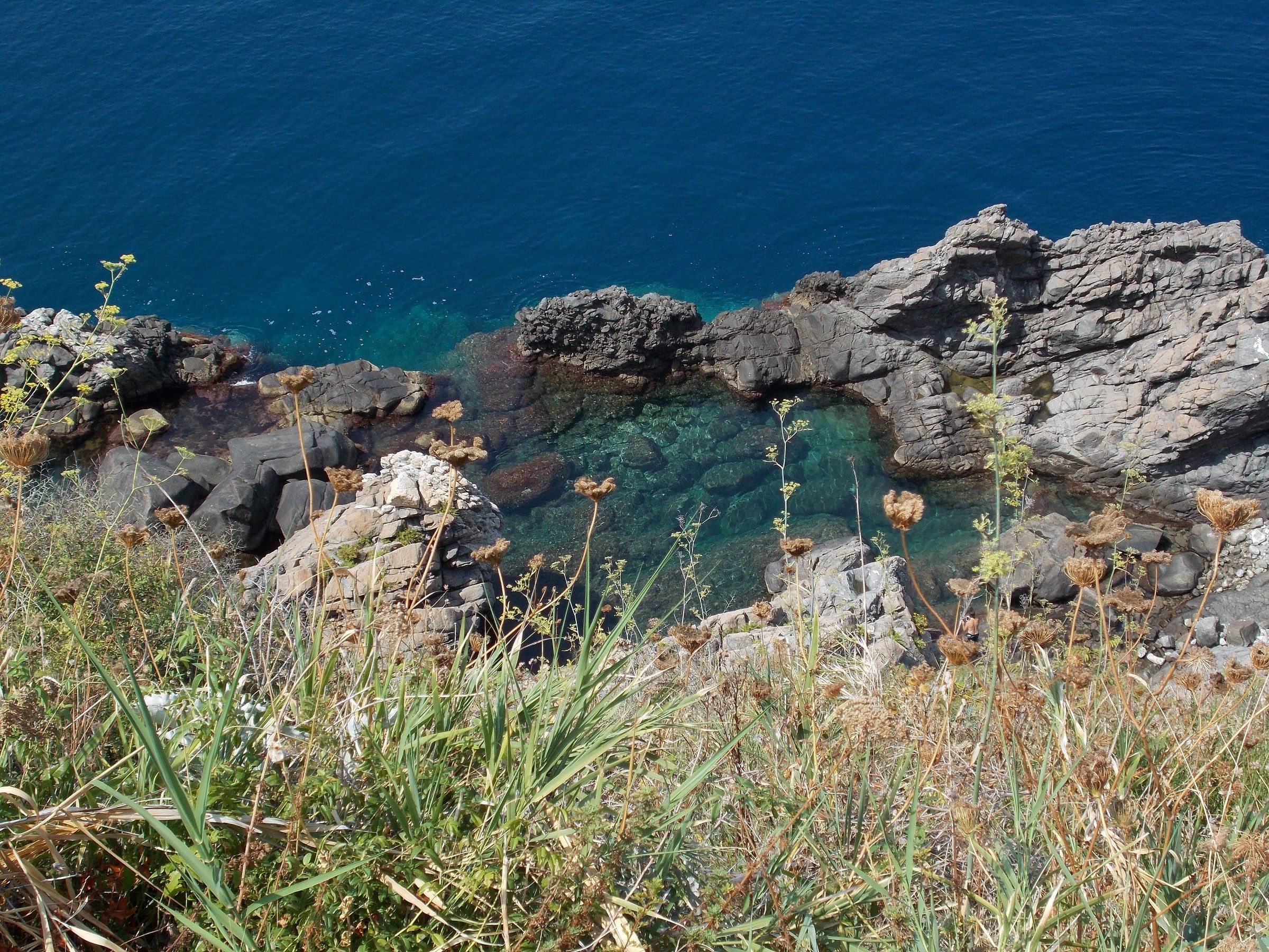 Palmi Caletta Rovaglioso