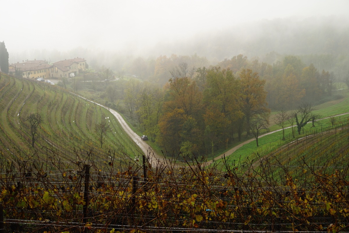 Vigneto e casale di Montevecchia