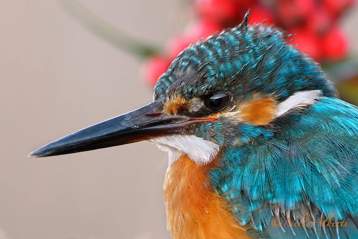 Martin at 1 / 30sec.