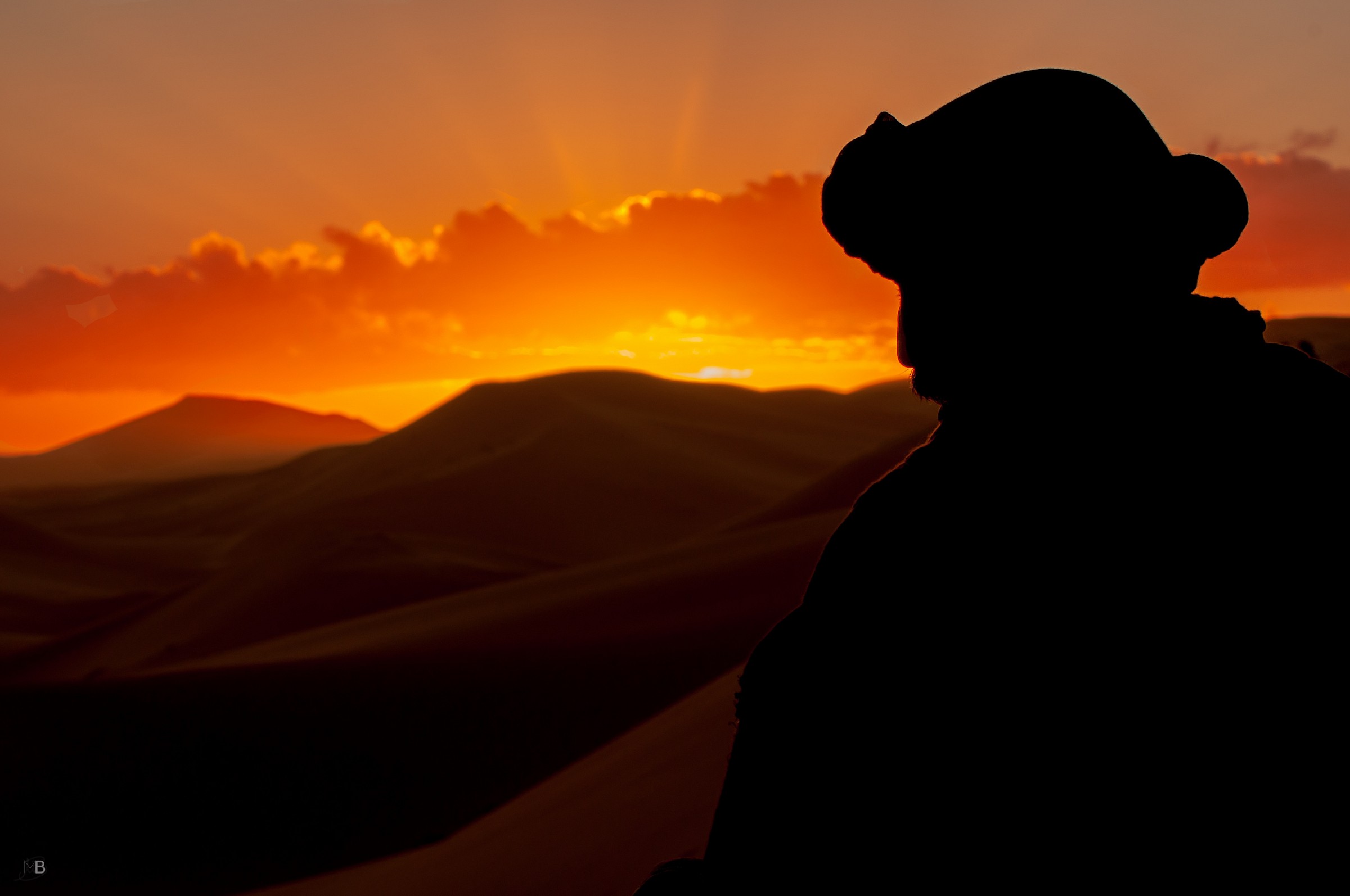 Sunrise in the Desert 3