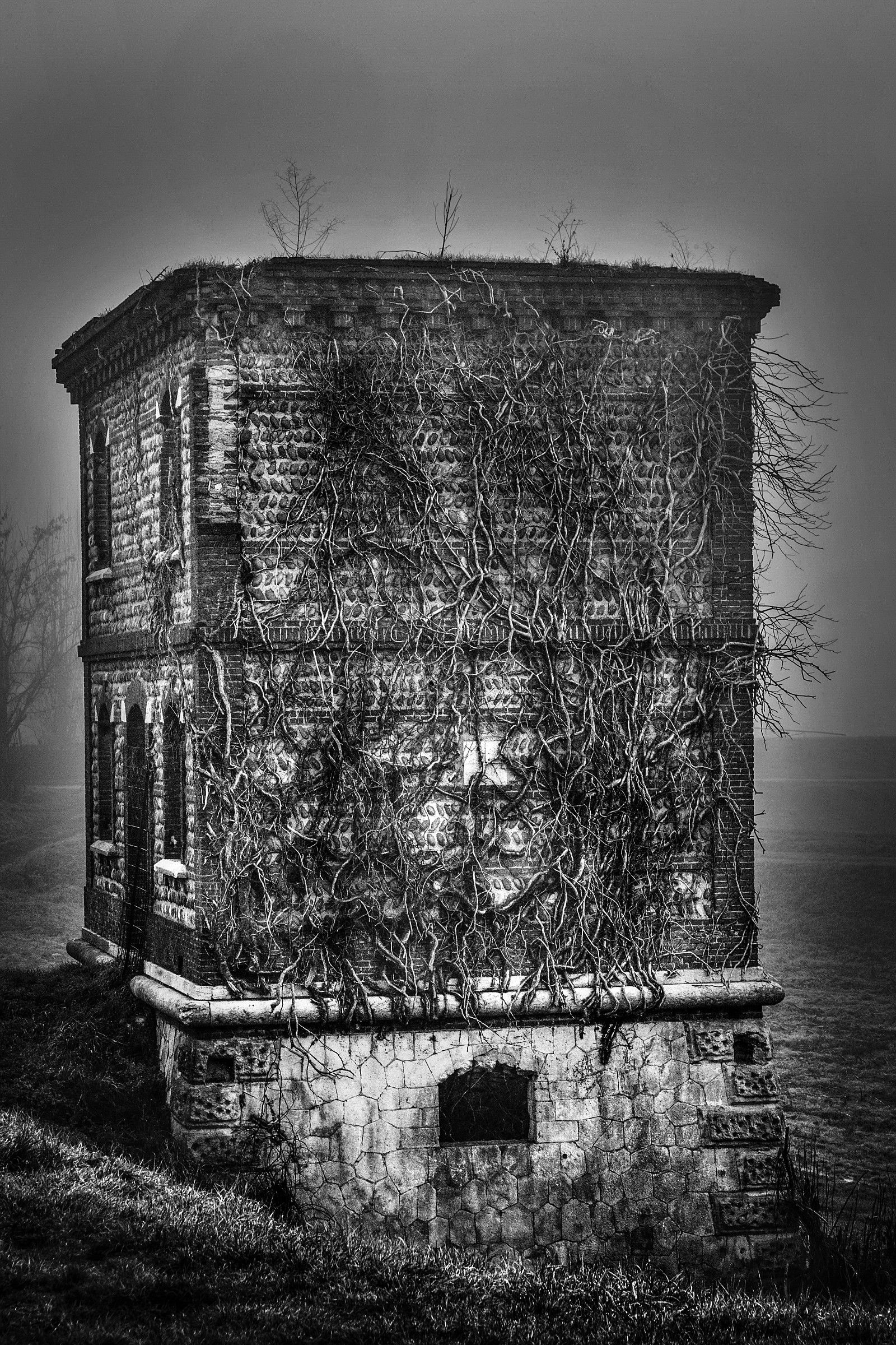mists on the old fort
