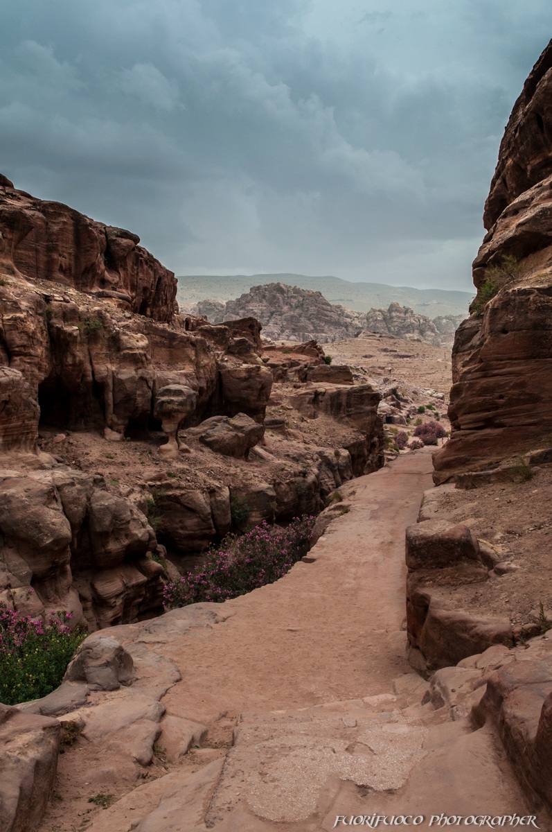 sito archeologico di Petra