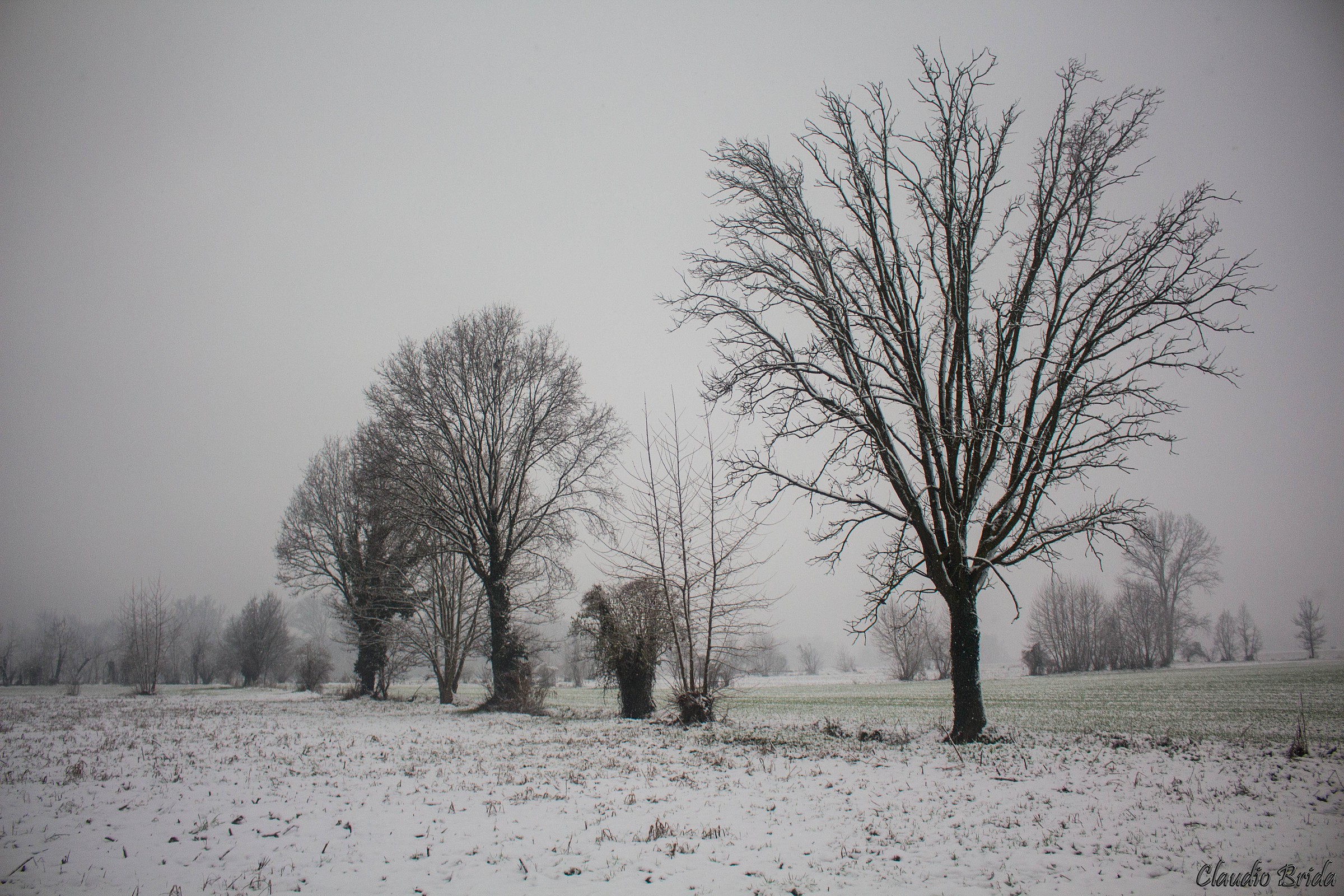winter landscapes