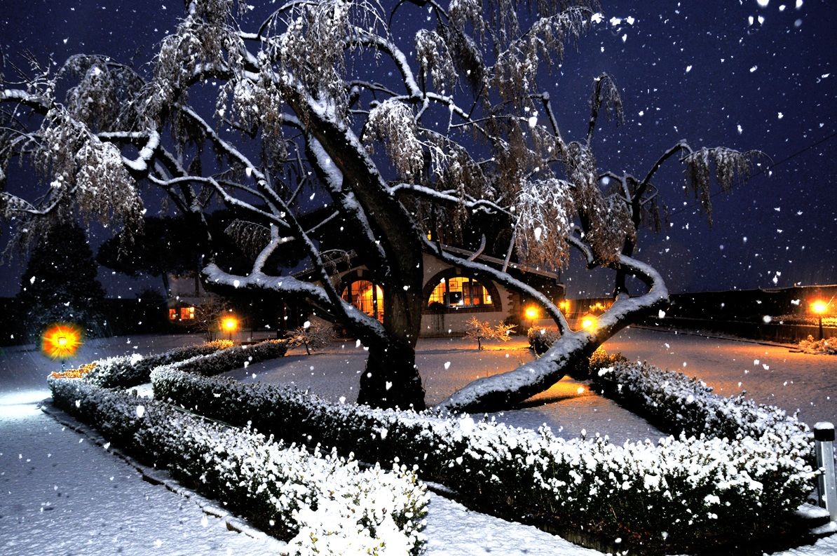 nevica nel mio giardino...!!