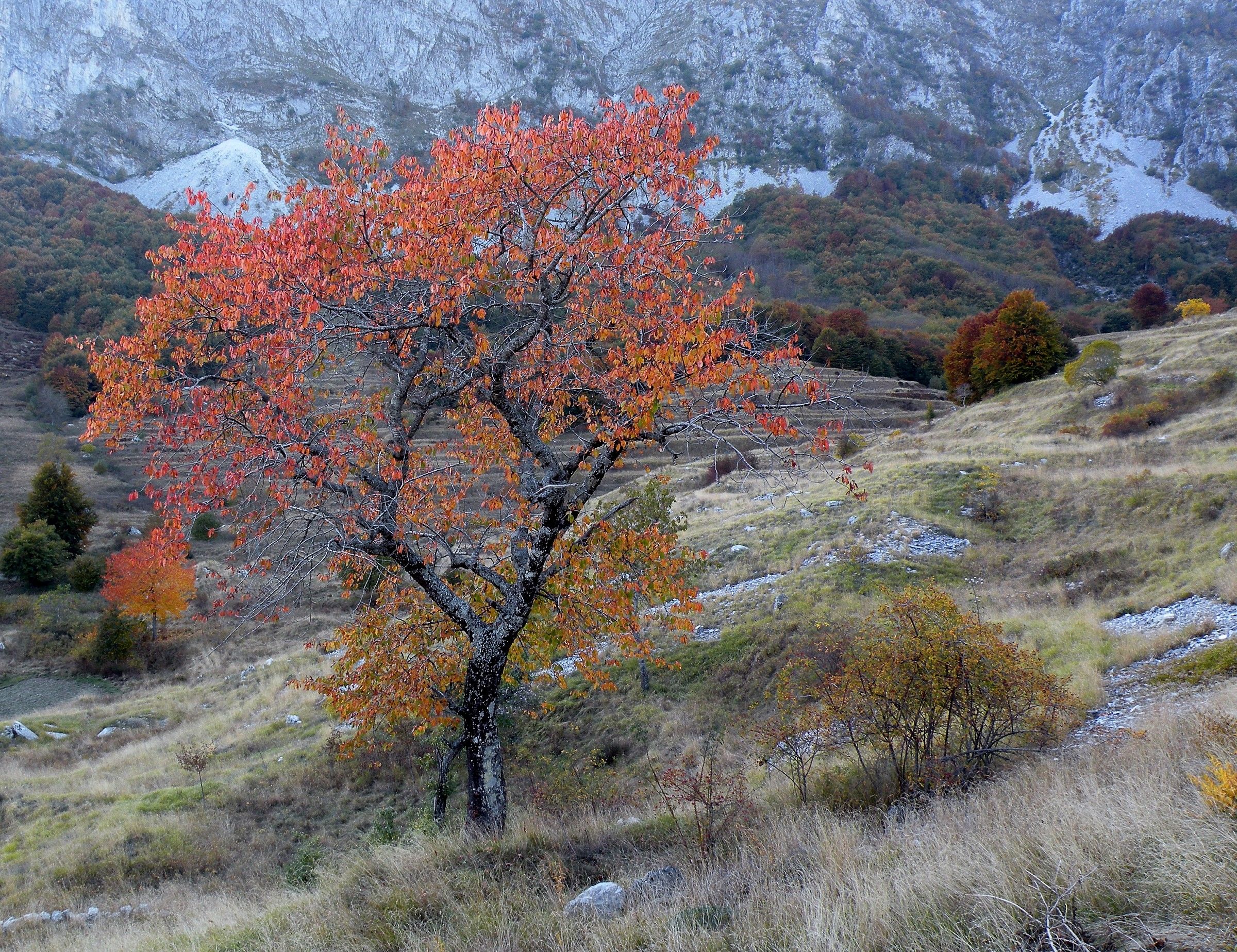 Oasi di Campocatino (lu)