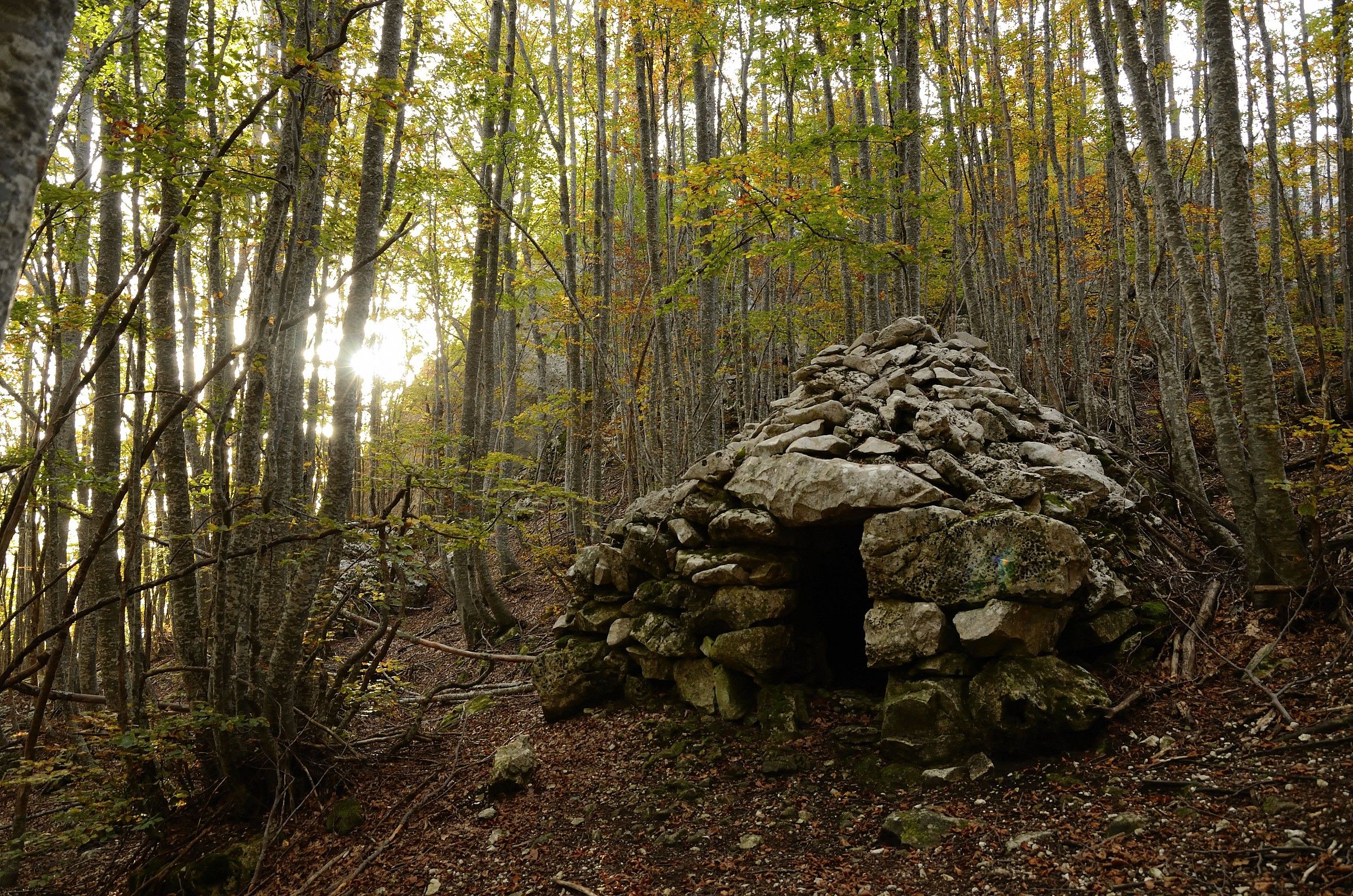 Tholos against light