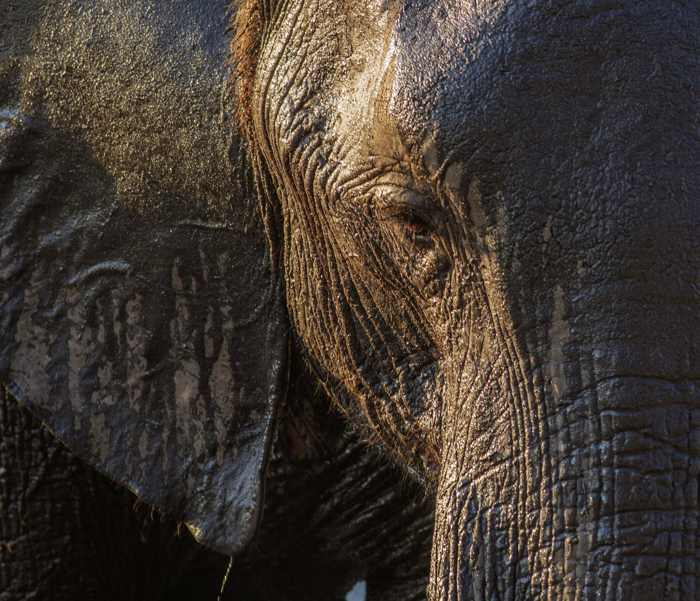 tra le pieghe del tempo