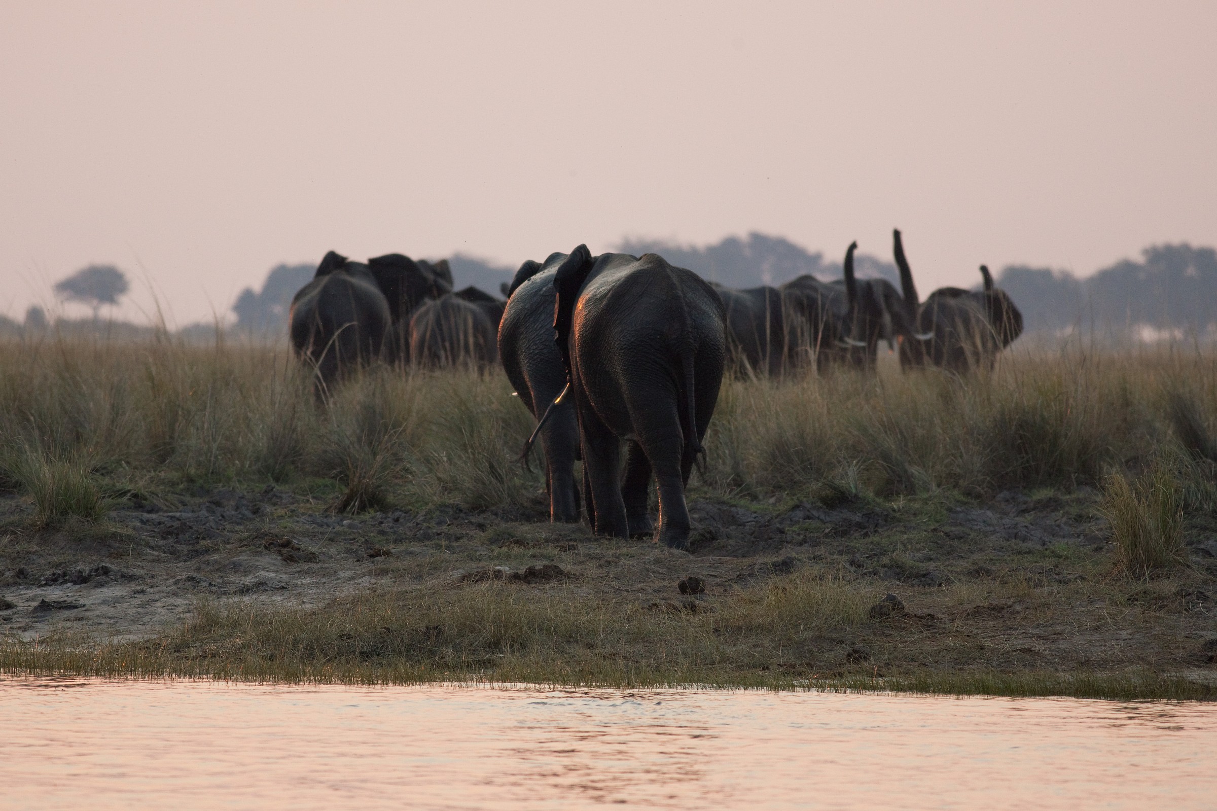in viaggio verso sera