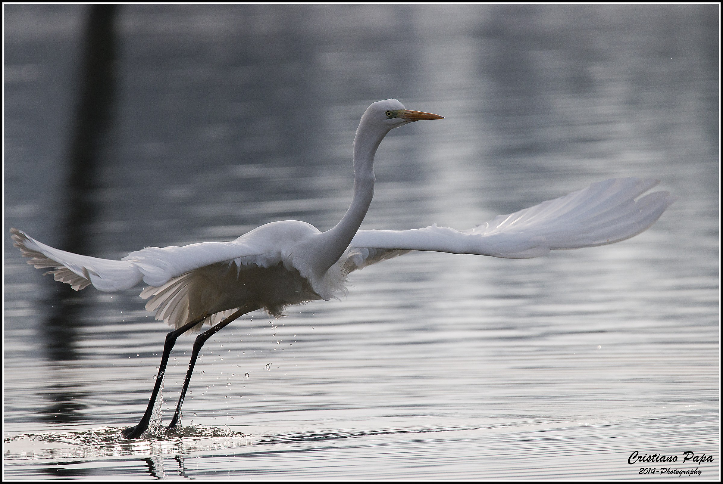 Volo a tutta apertura