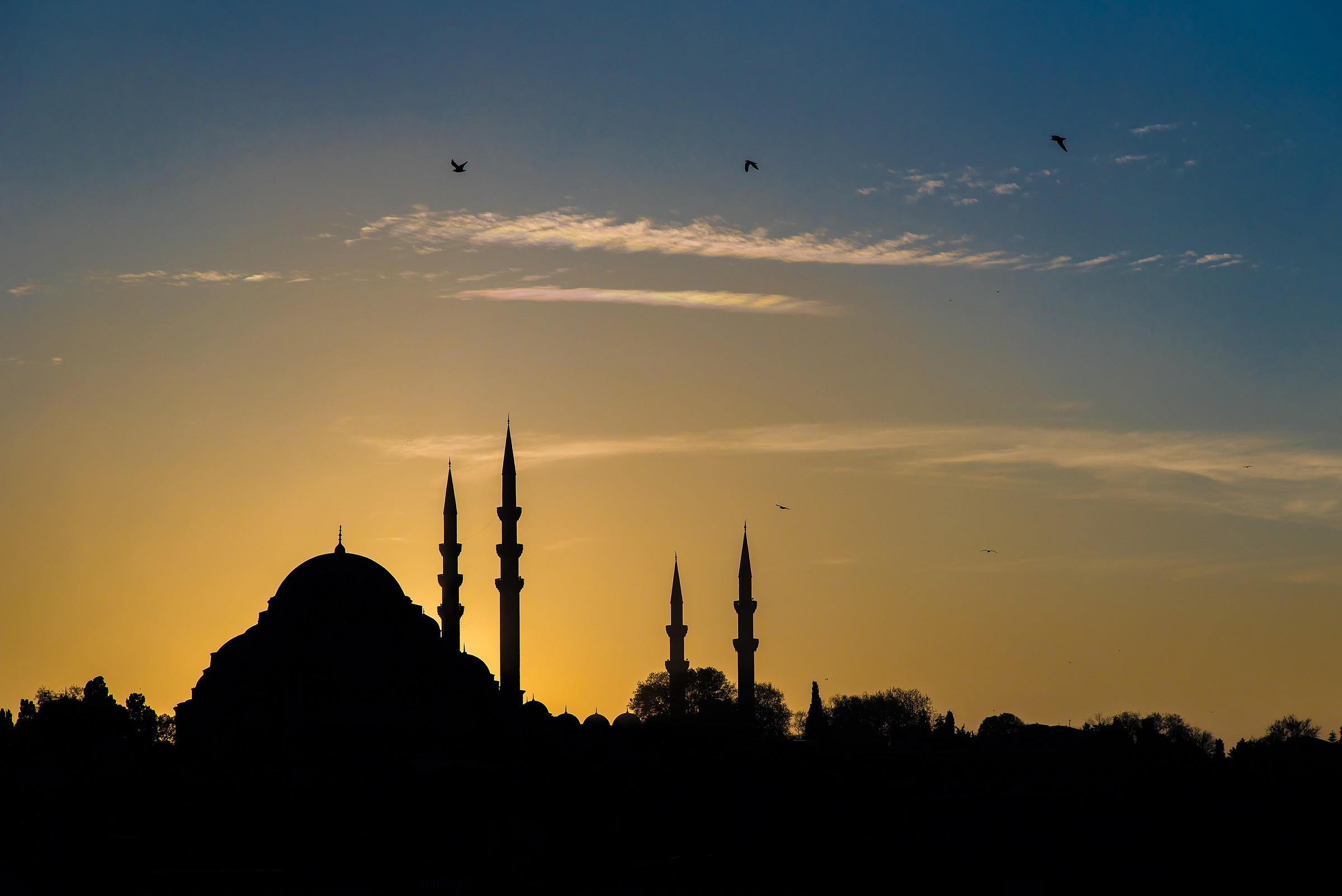 Istanbul mosques and crows