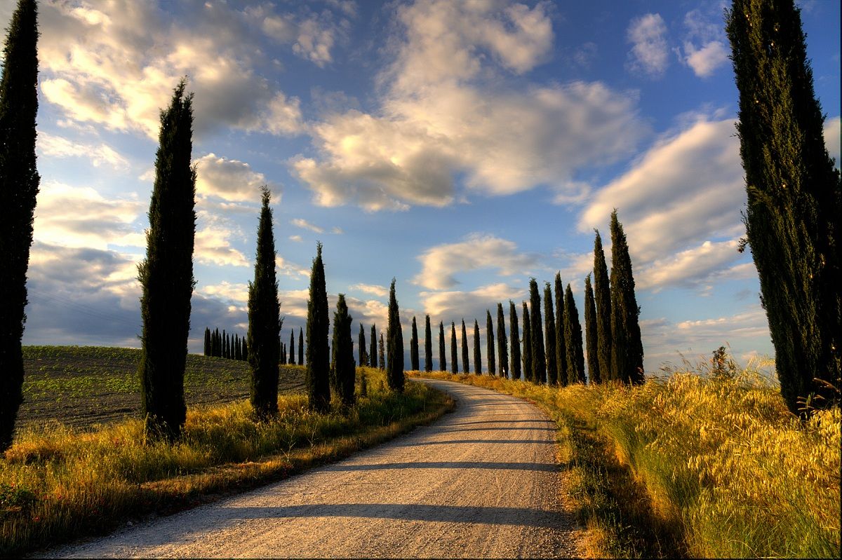 Guardiani silenziosi
