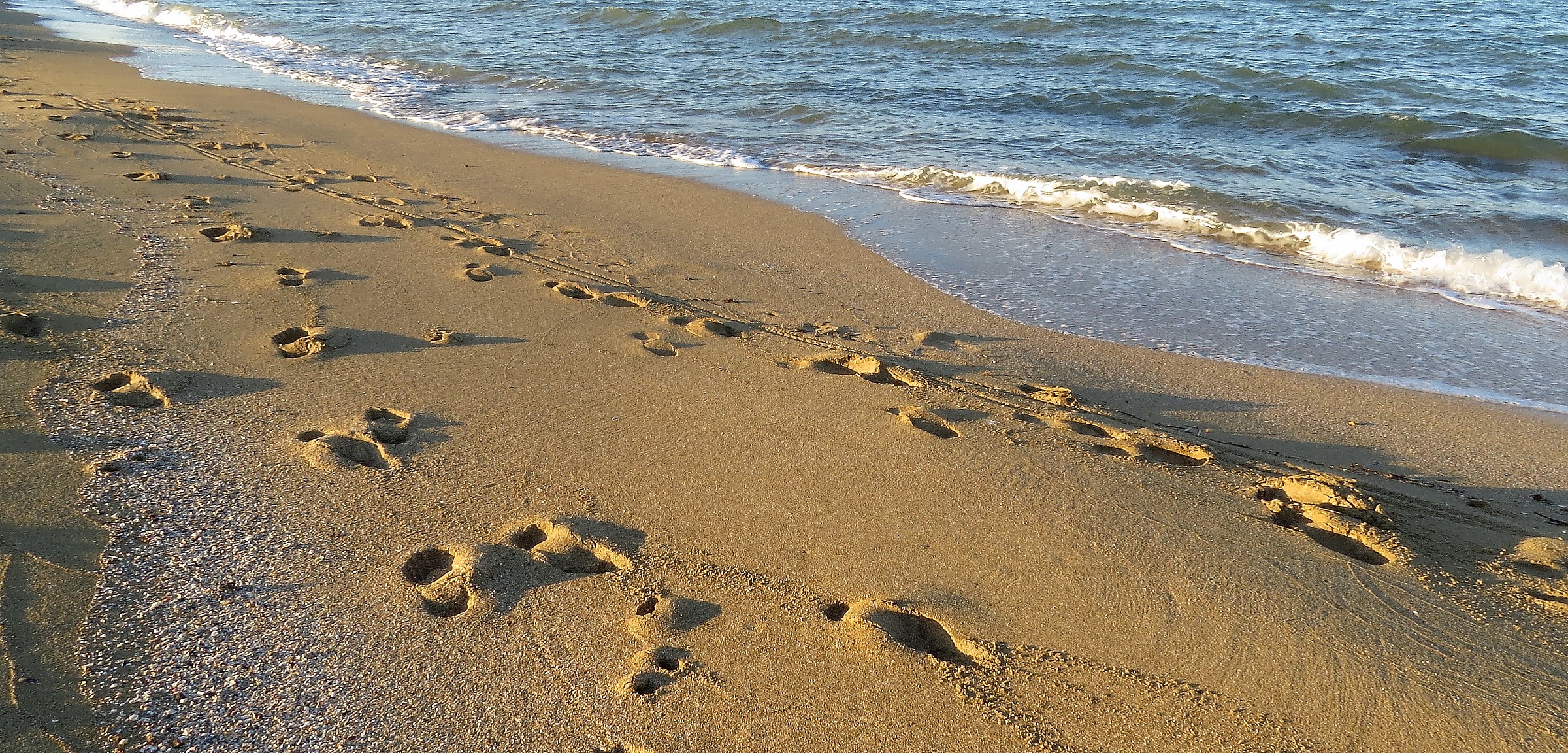 footprints in the sand