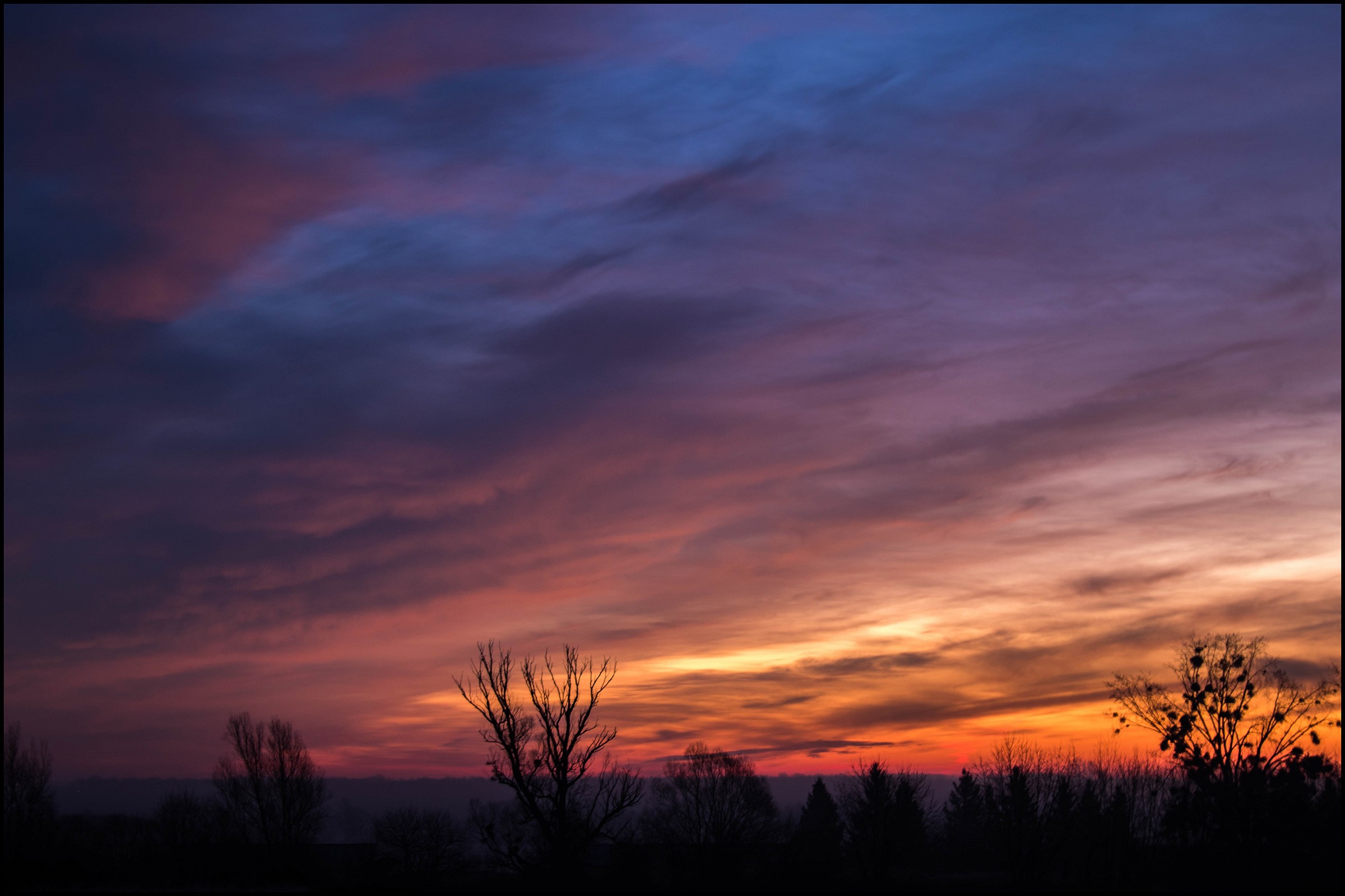 Dawn of Christmas-2.