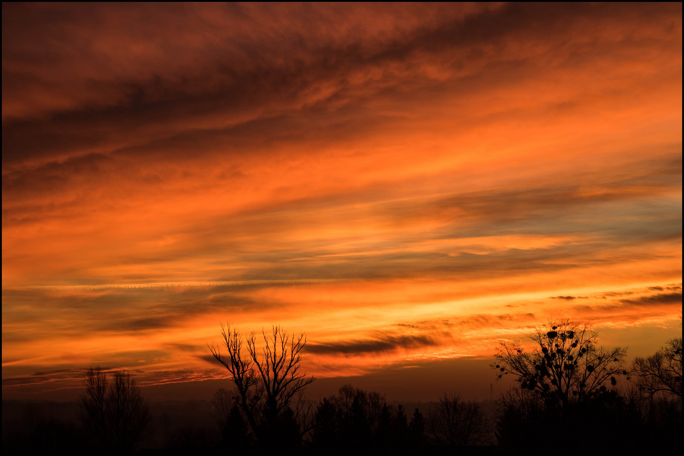 Dawn of Christmas-3.