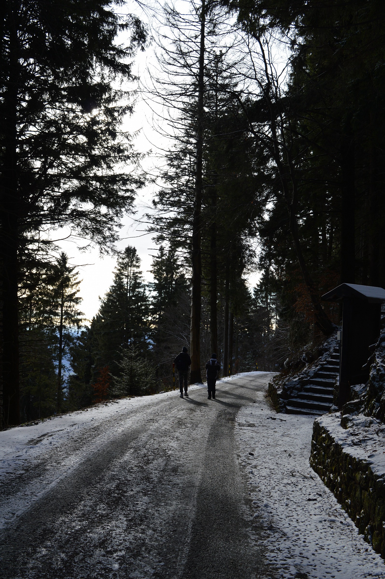 Campo dei Fiori Varese Cittadella Scienza
