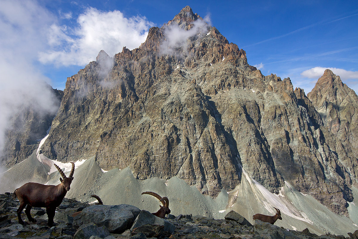 Monviso - King of stone sentinels