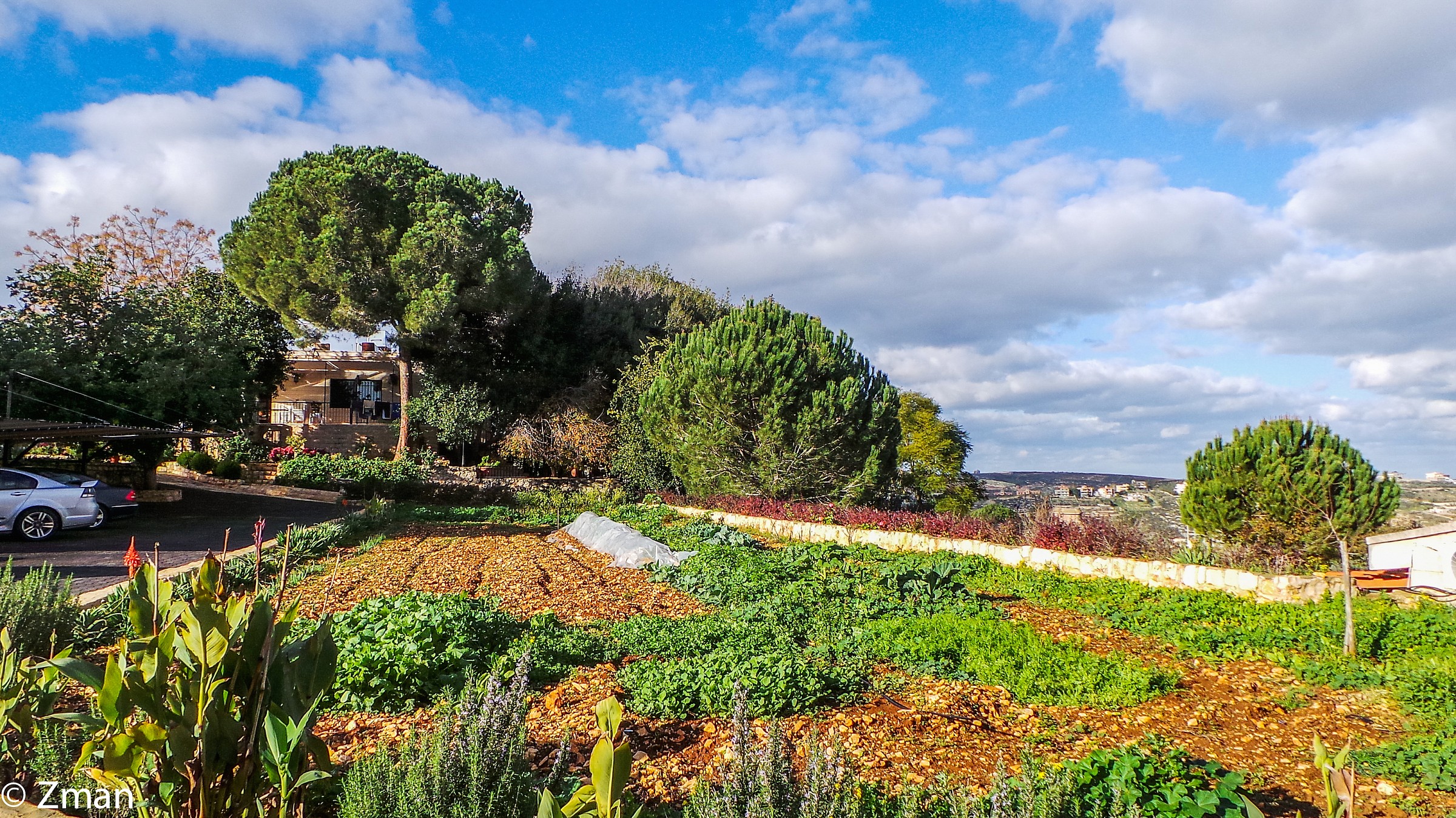 Il giardino biologico