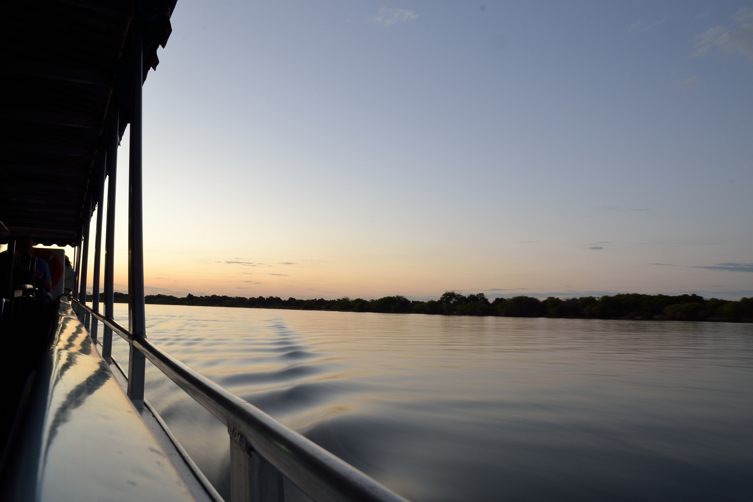 Browsing on the Zambesi