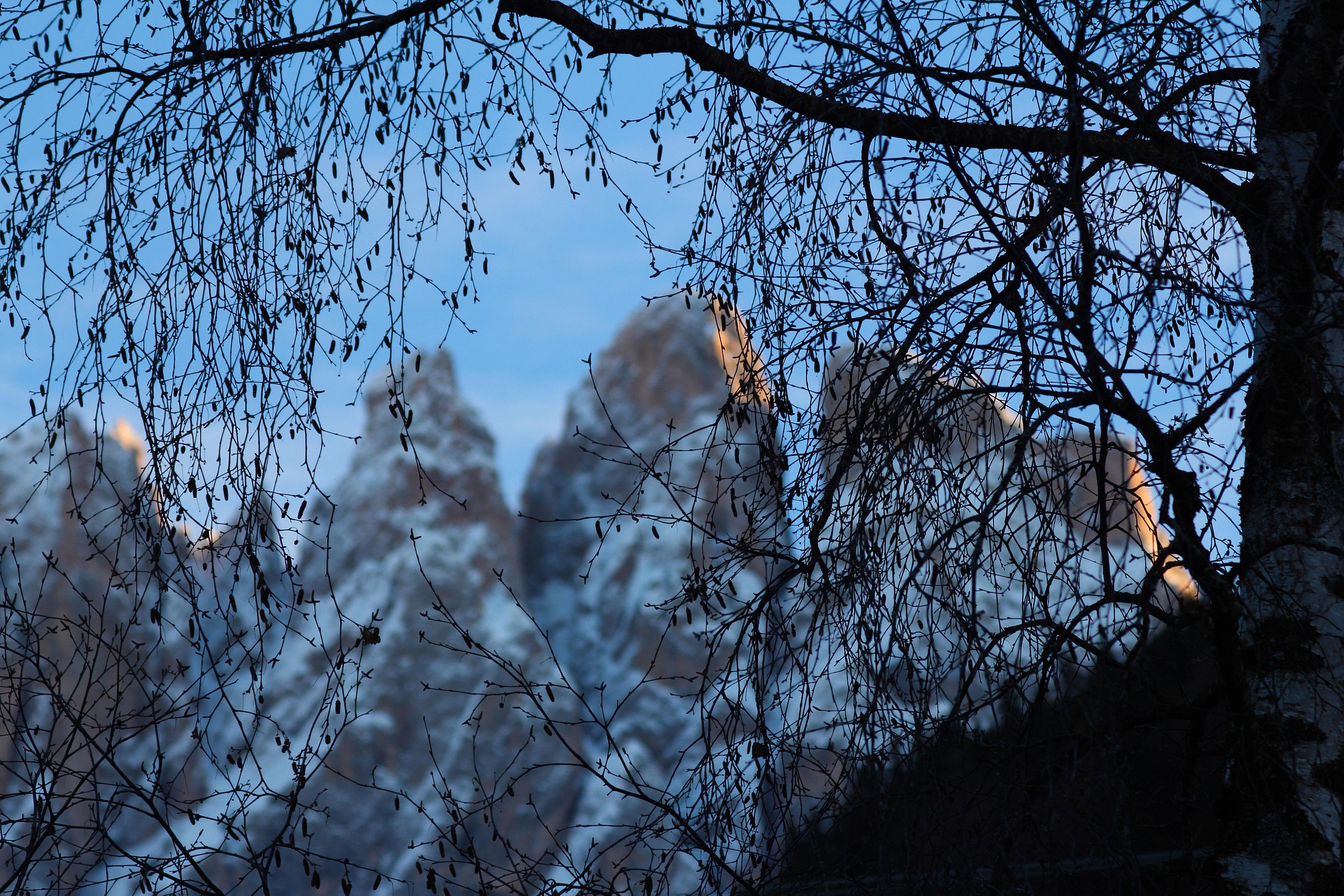 Besides the branches