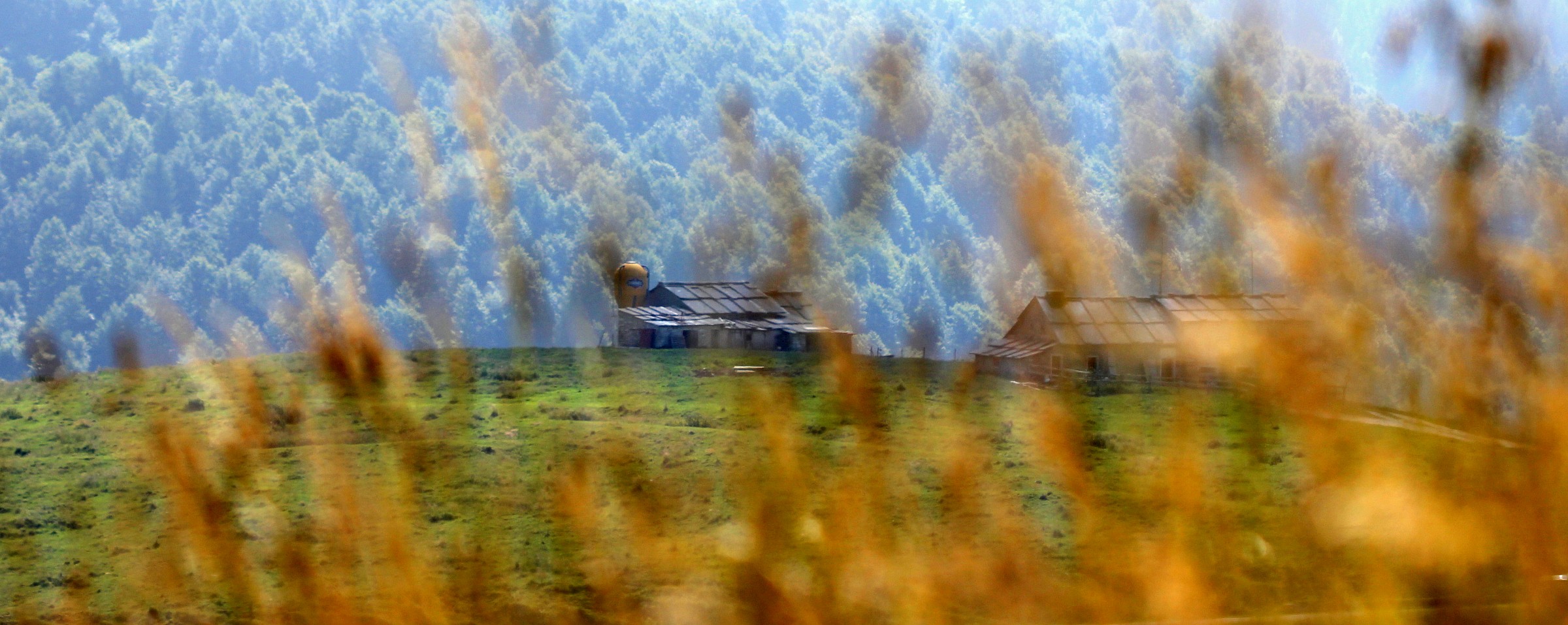 D'estate in Lessinia