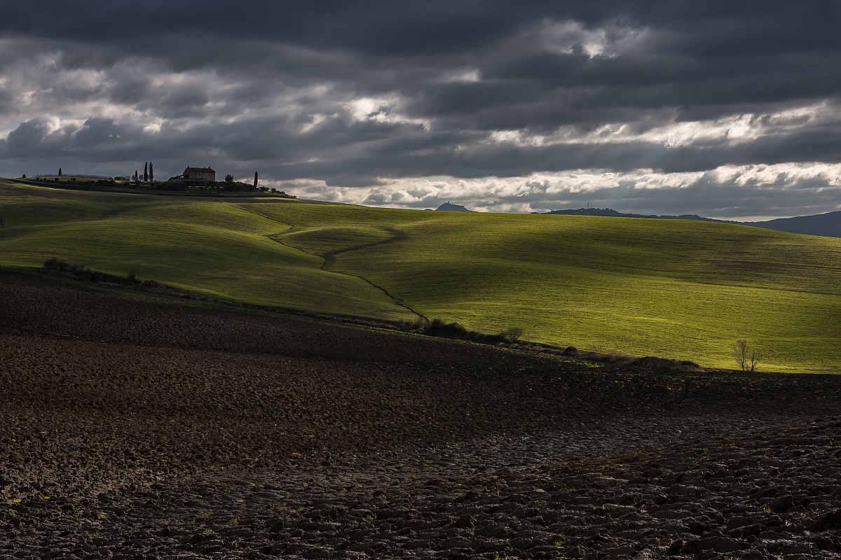 Wet afternoon in early December