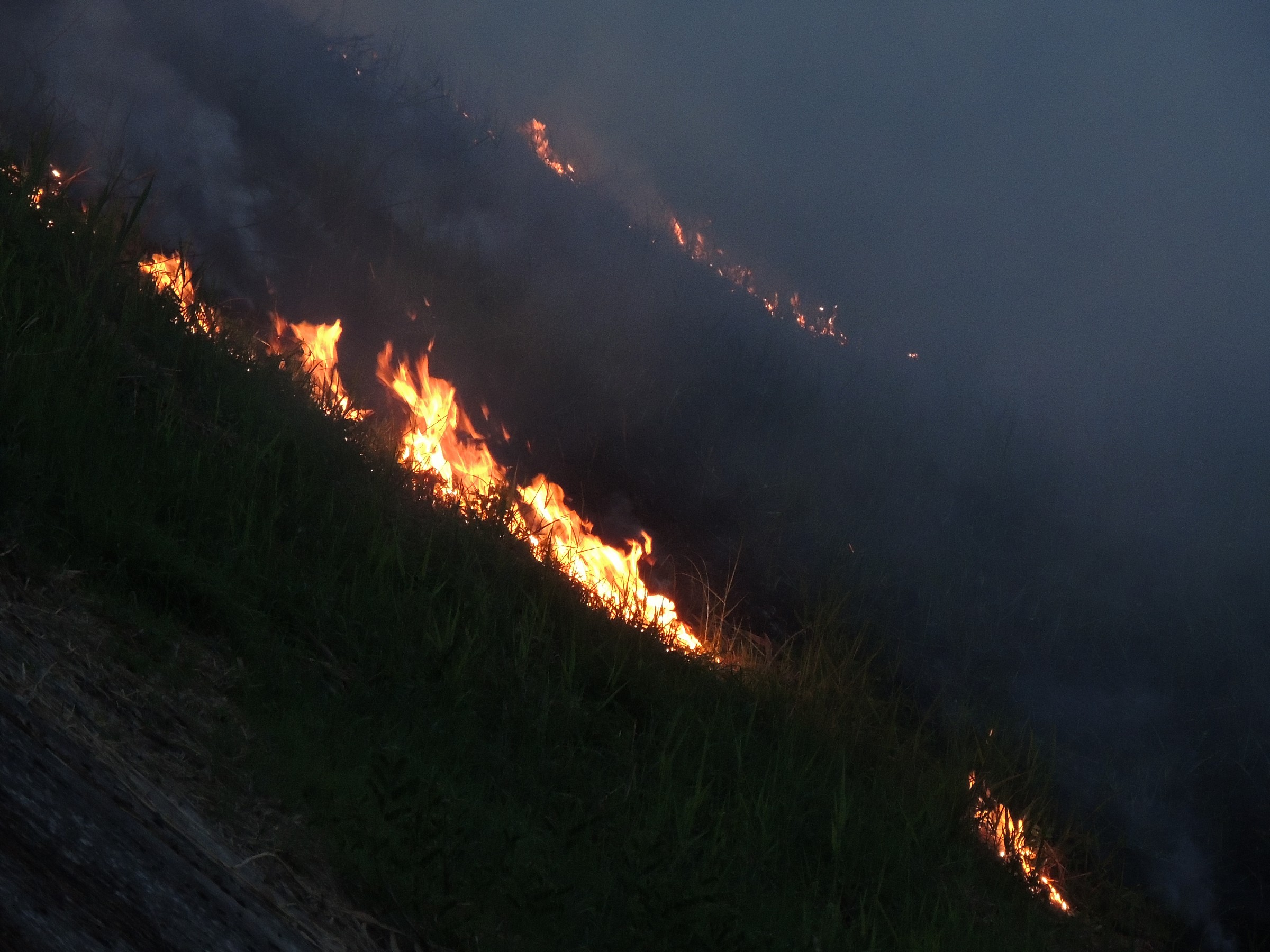 spontaneous combustion ...............