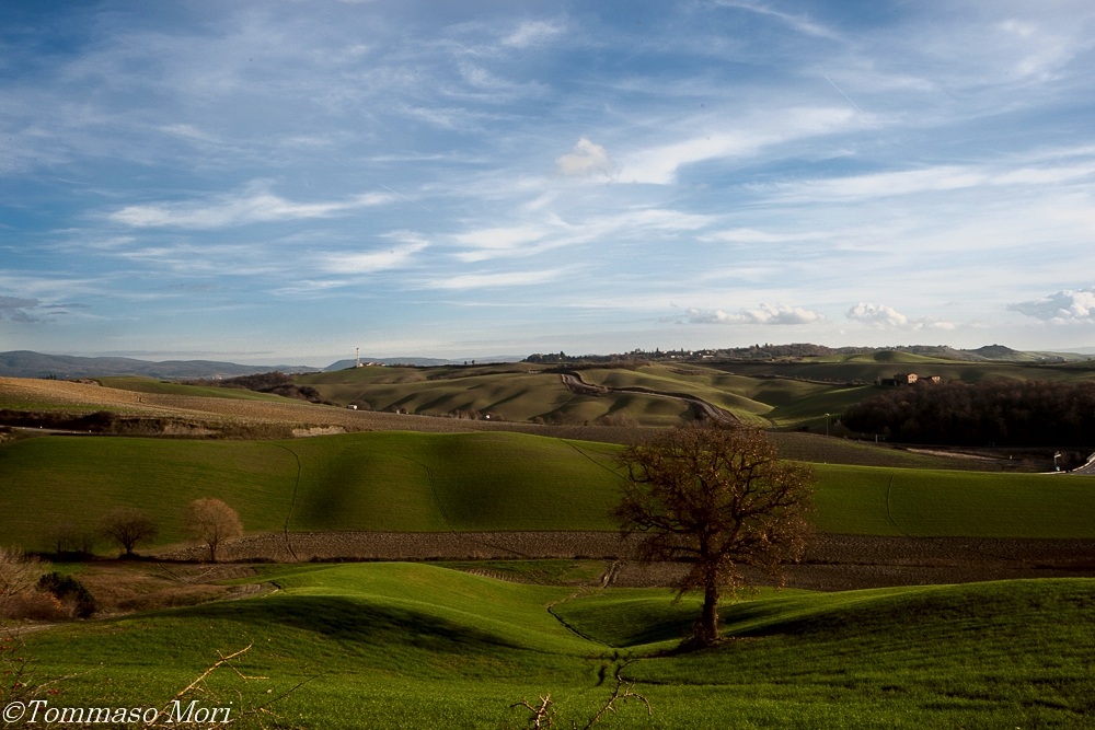 Crete Senesi