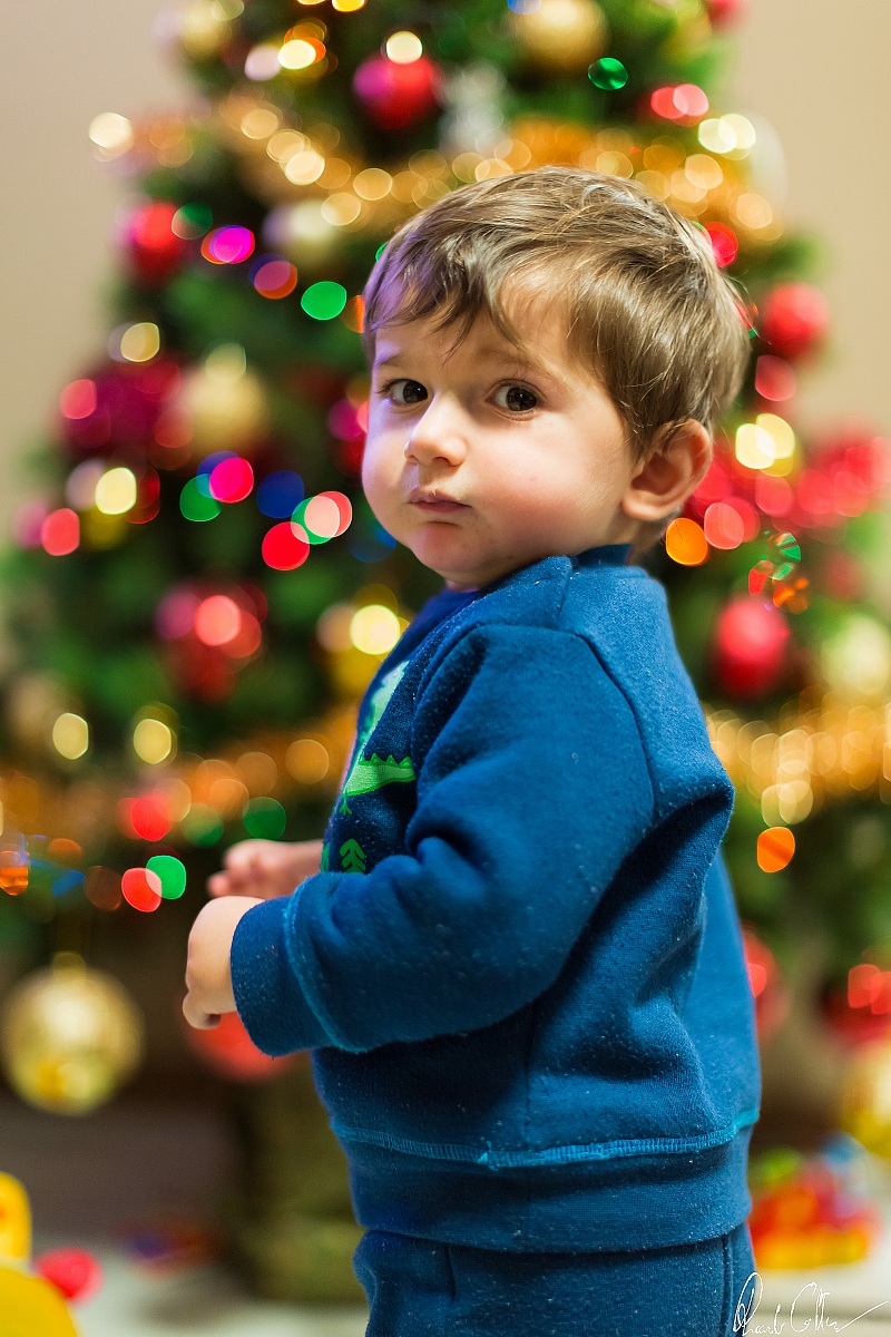 Il regalo più bello da trovare sotto l'albero!