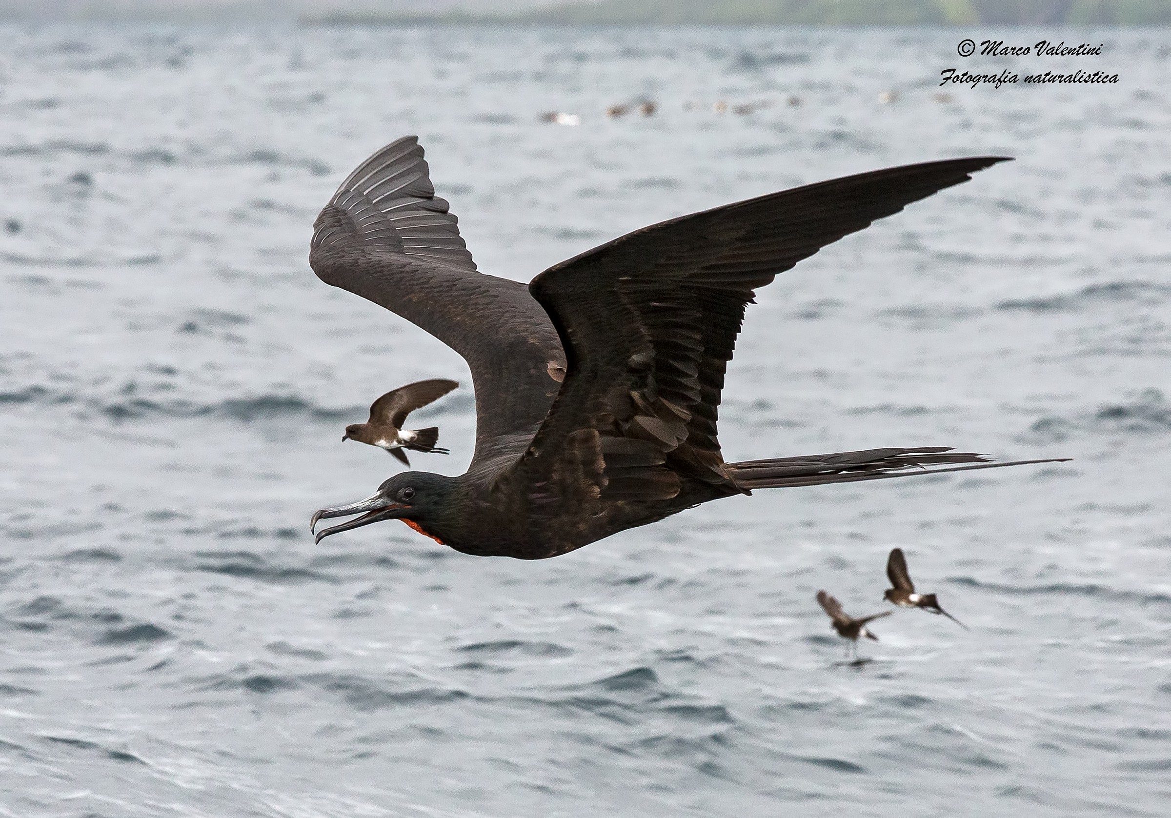 Questione di dimensioni