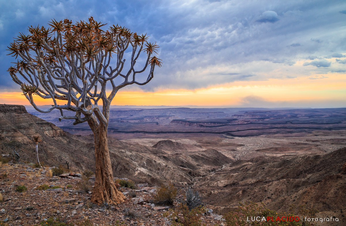 Fish River Canyon