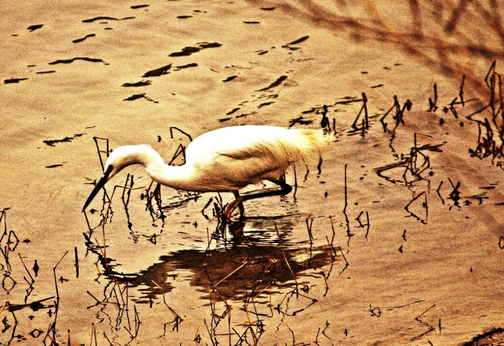 in the river painting