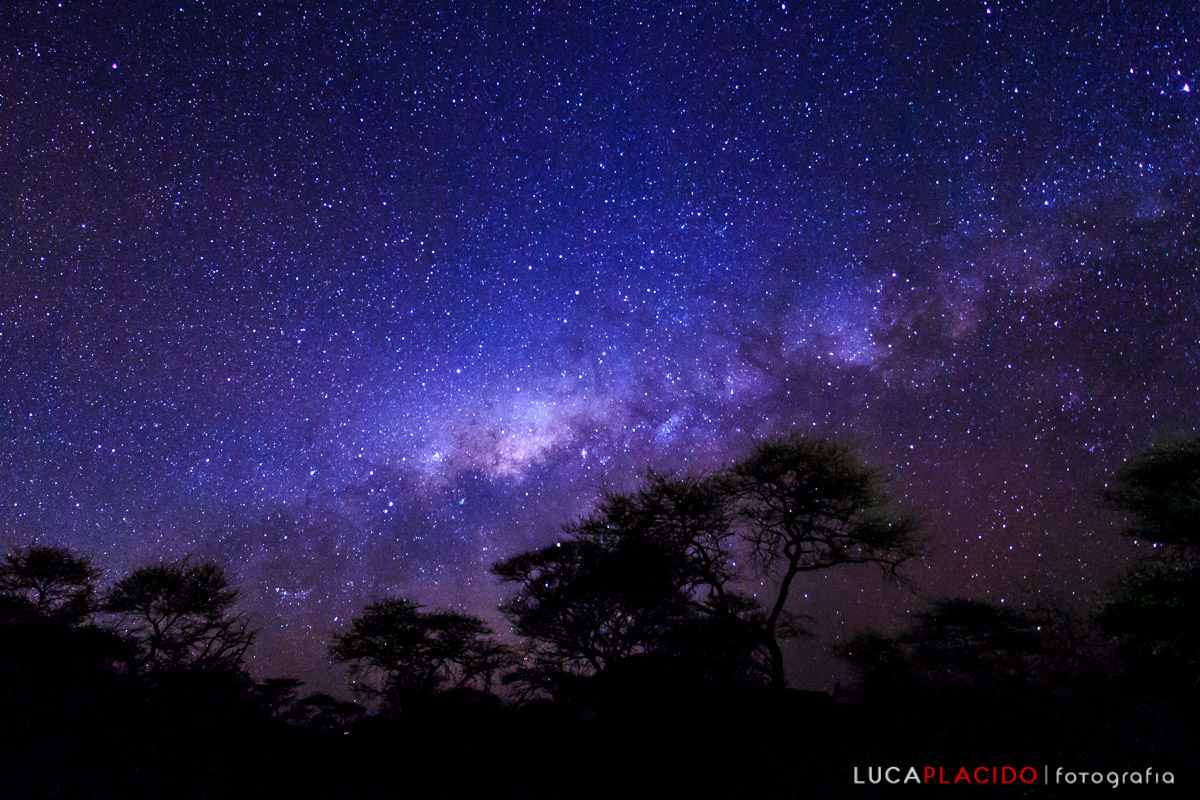 The Milky Way on the border of the Etosha National Park
