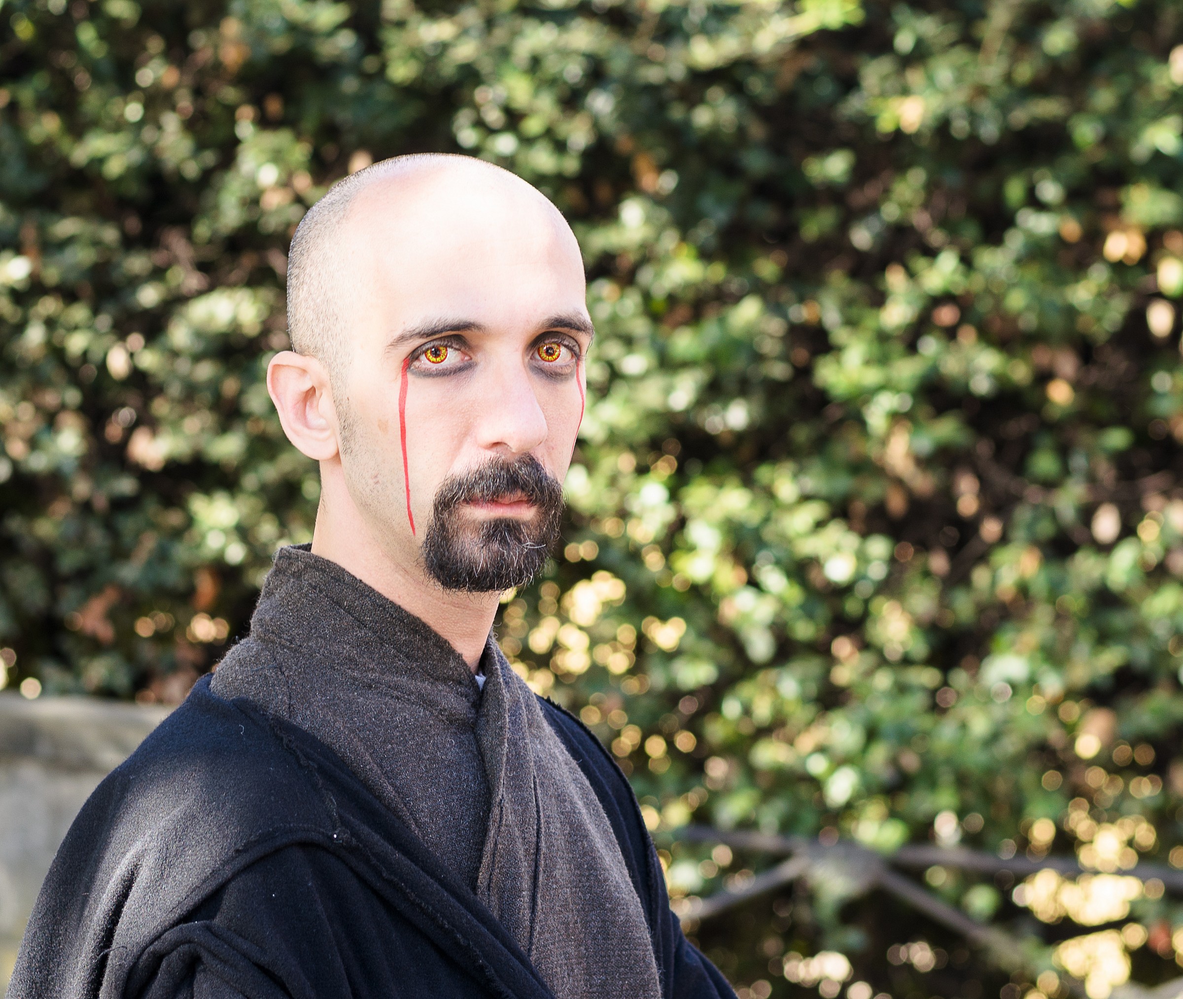 Festival Comics - Lucca 2014