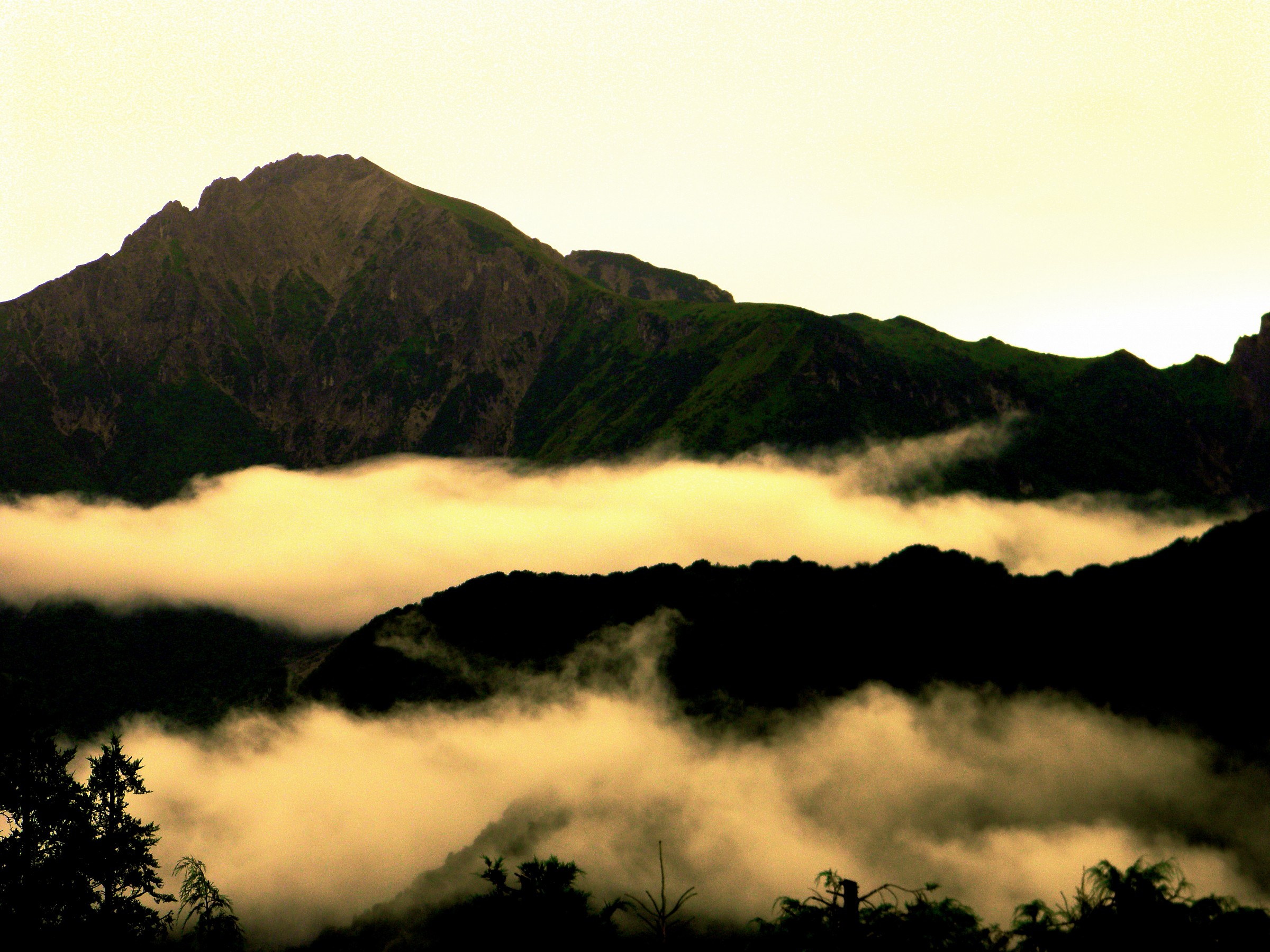 ....nebbia e pioggia