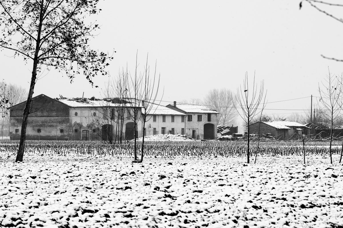 Court "Ronchello Old"