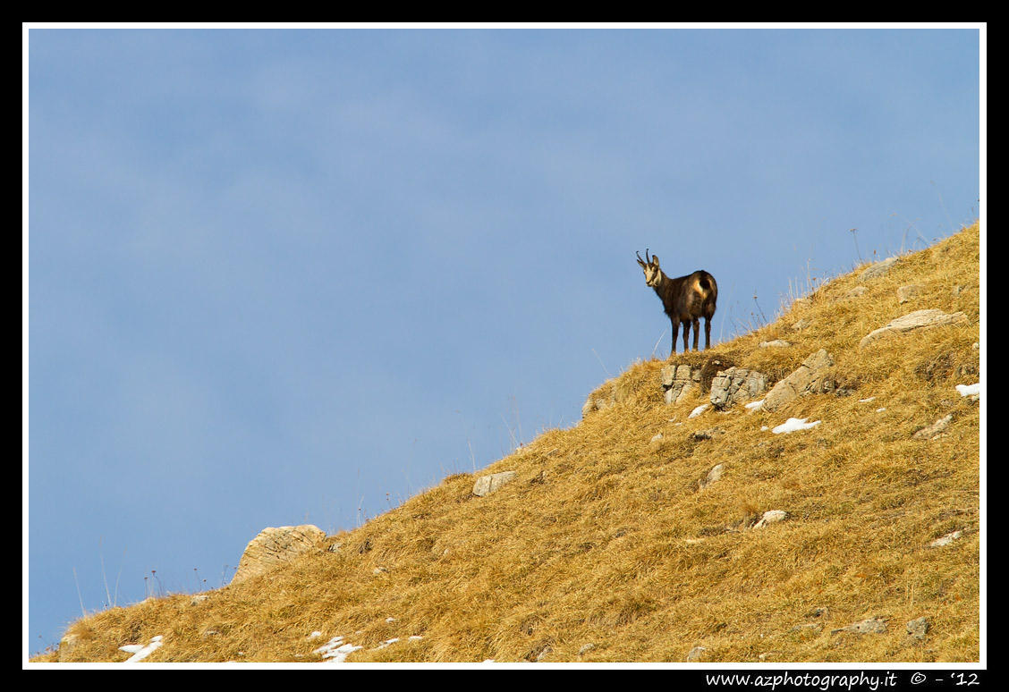 Suede on Mount Jupiter - Schio (vi)