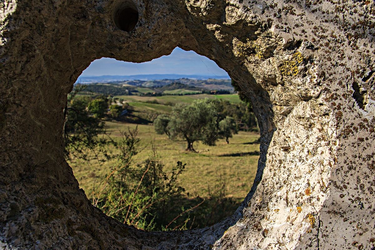 View of the Val d'Arbia