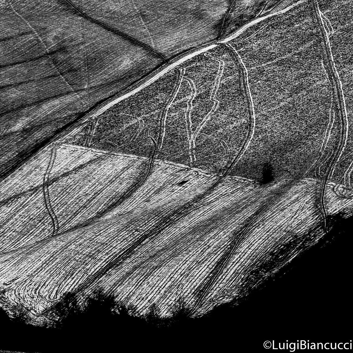 Entra lo sguardo indeciso