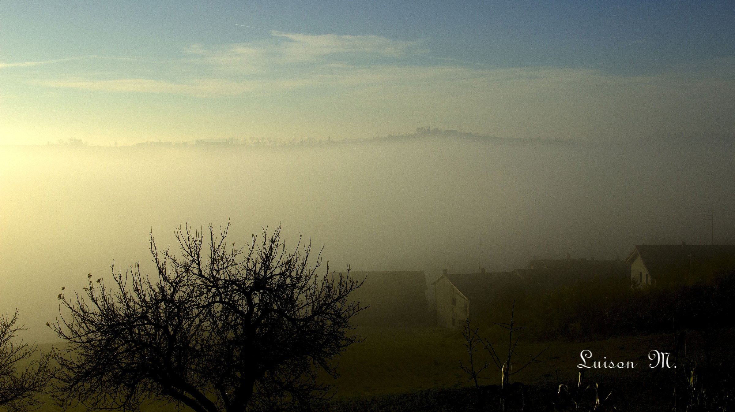 nebbia in Monferrato