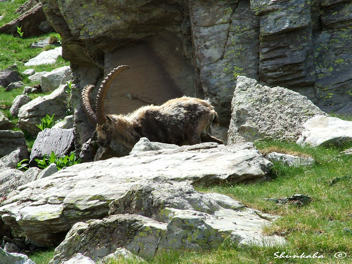 Un duro inverno è passato